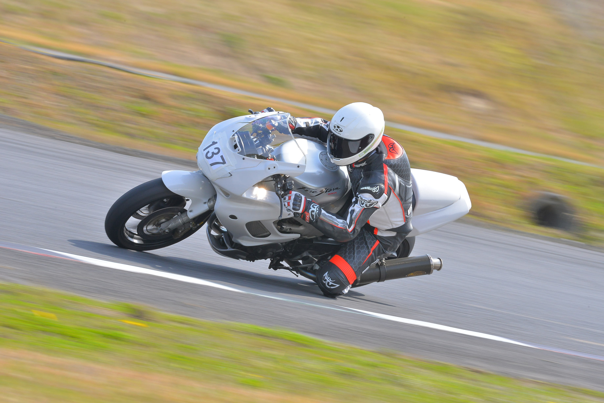 D8J_0356.JPG