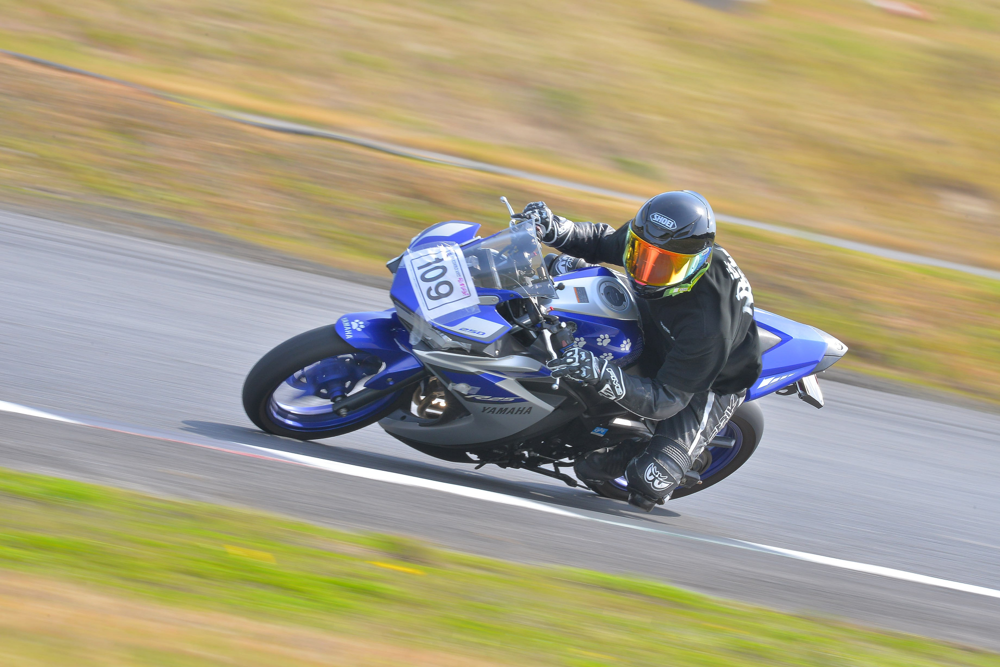D8J_0372.JPG