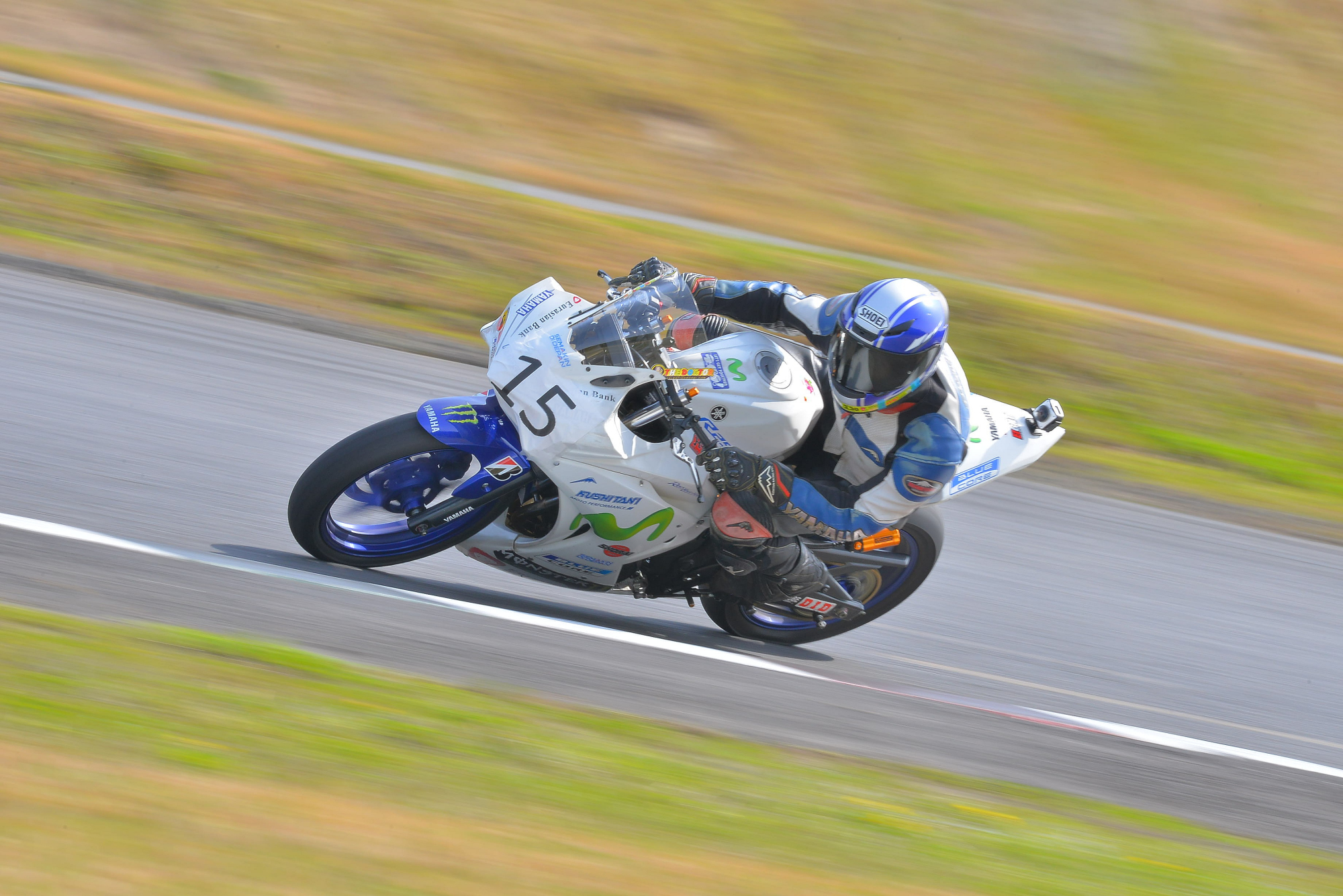 D8J_0381.JPG