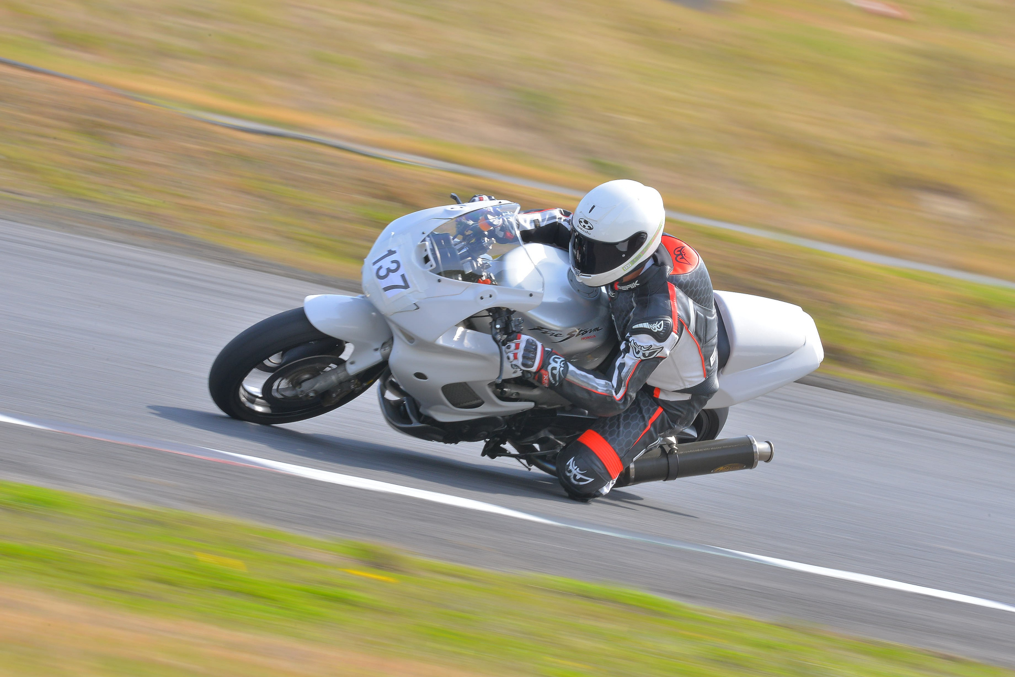D8J_0413.JPG