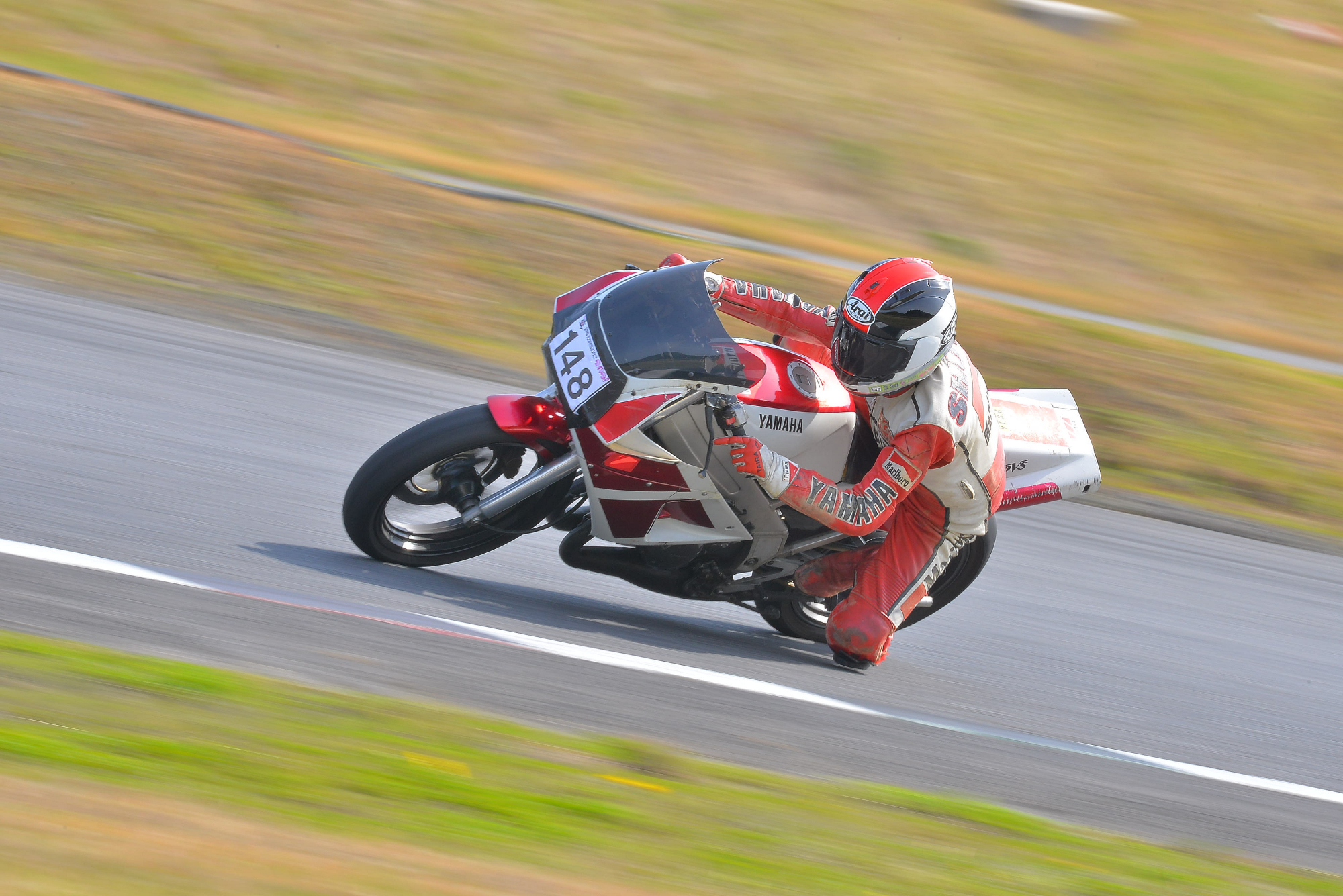 D8J_0434.JPG