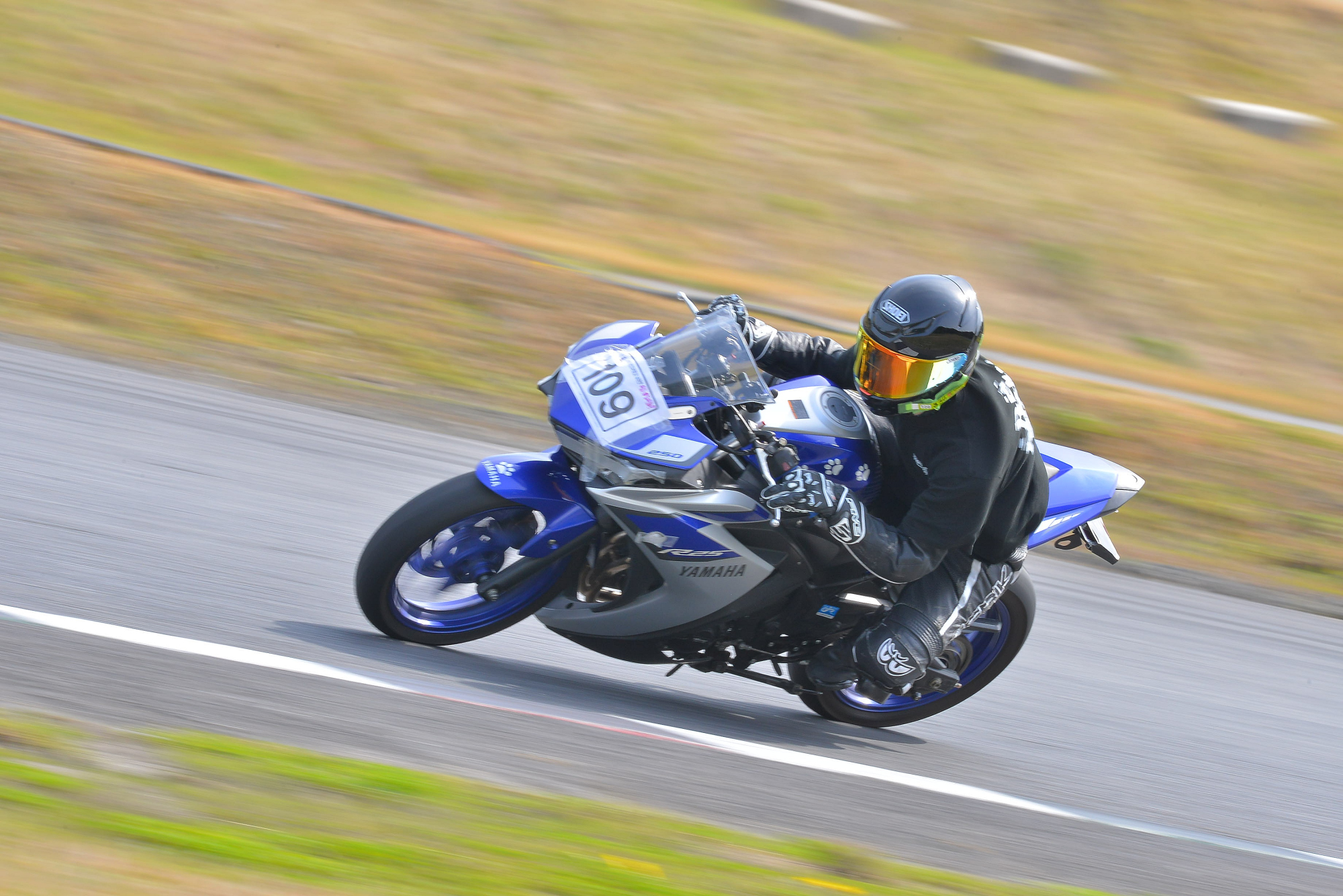 D8J_0193.JPG