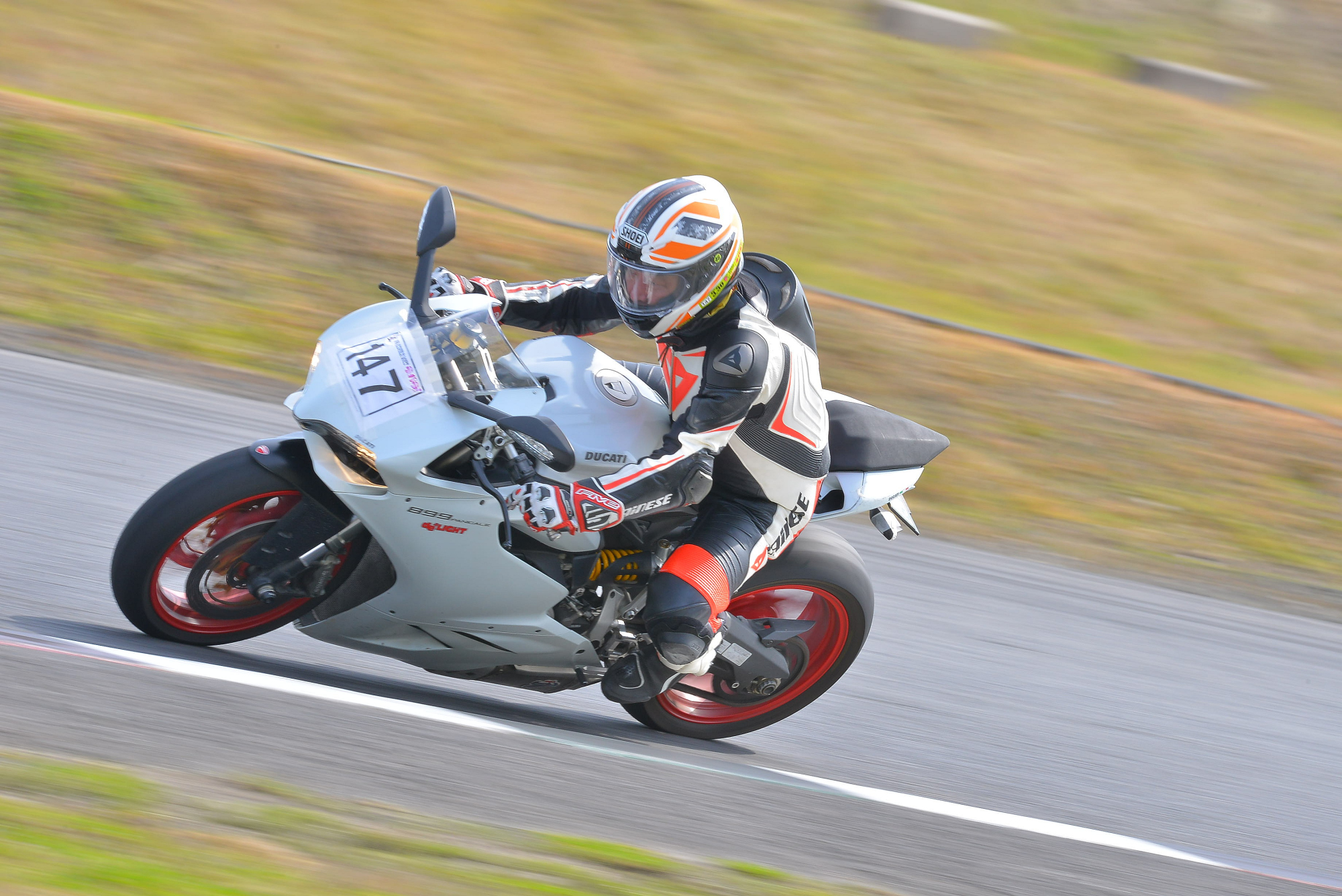 D8J_0205.JPG