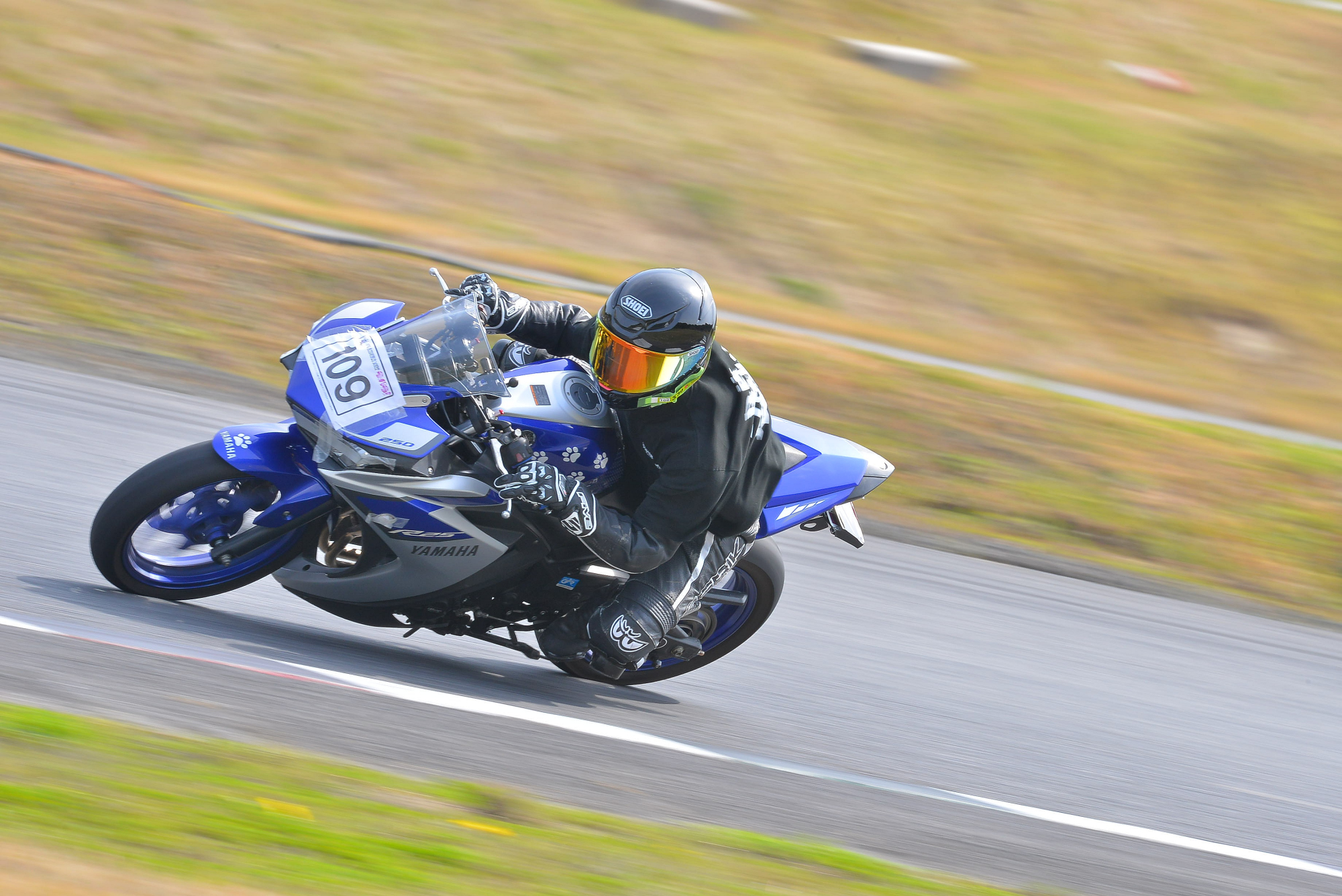 D8J_0208.JPG