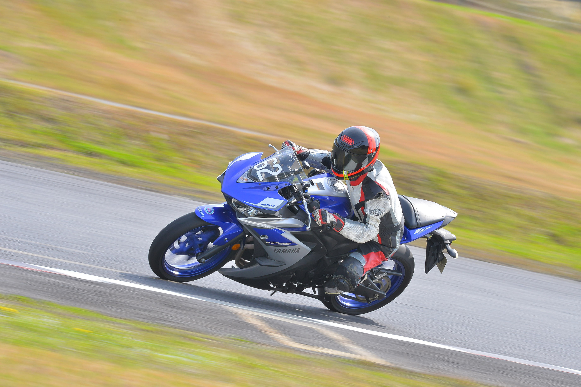 D8J_0221.JPG