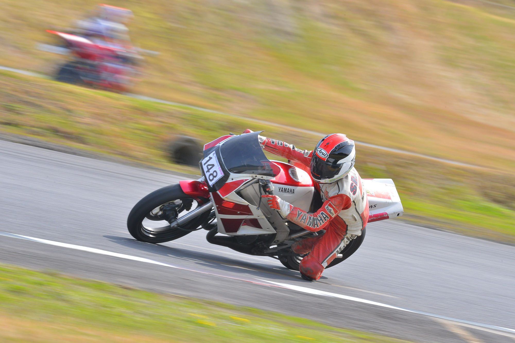 D8J_0224.JPG