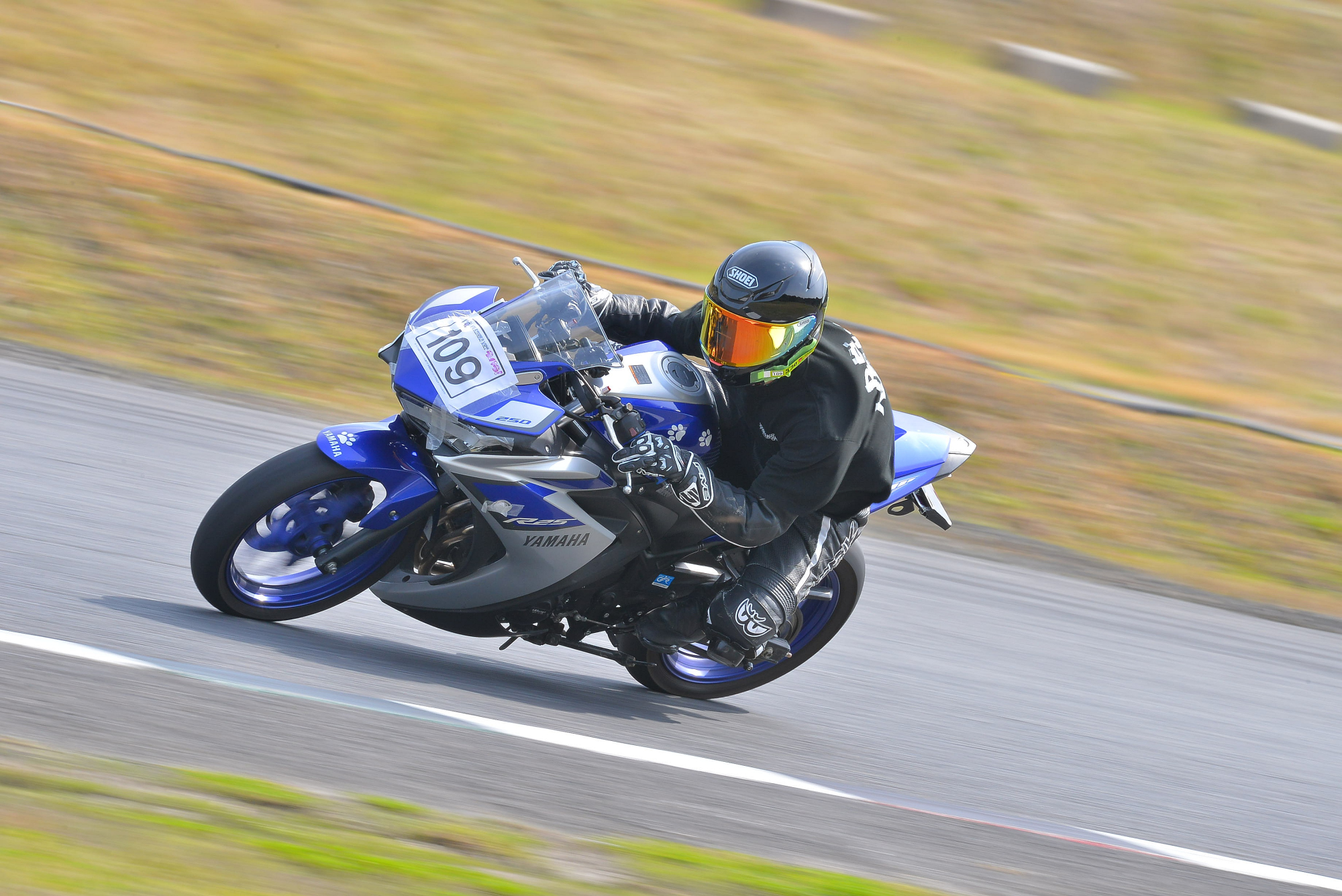 D8J_0228.JPG