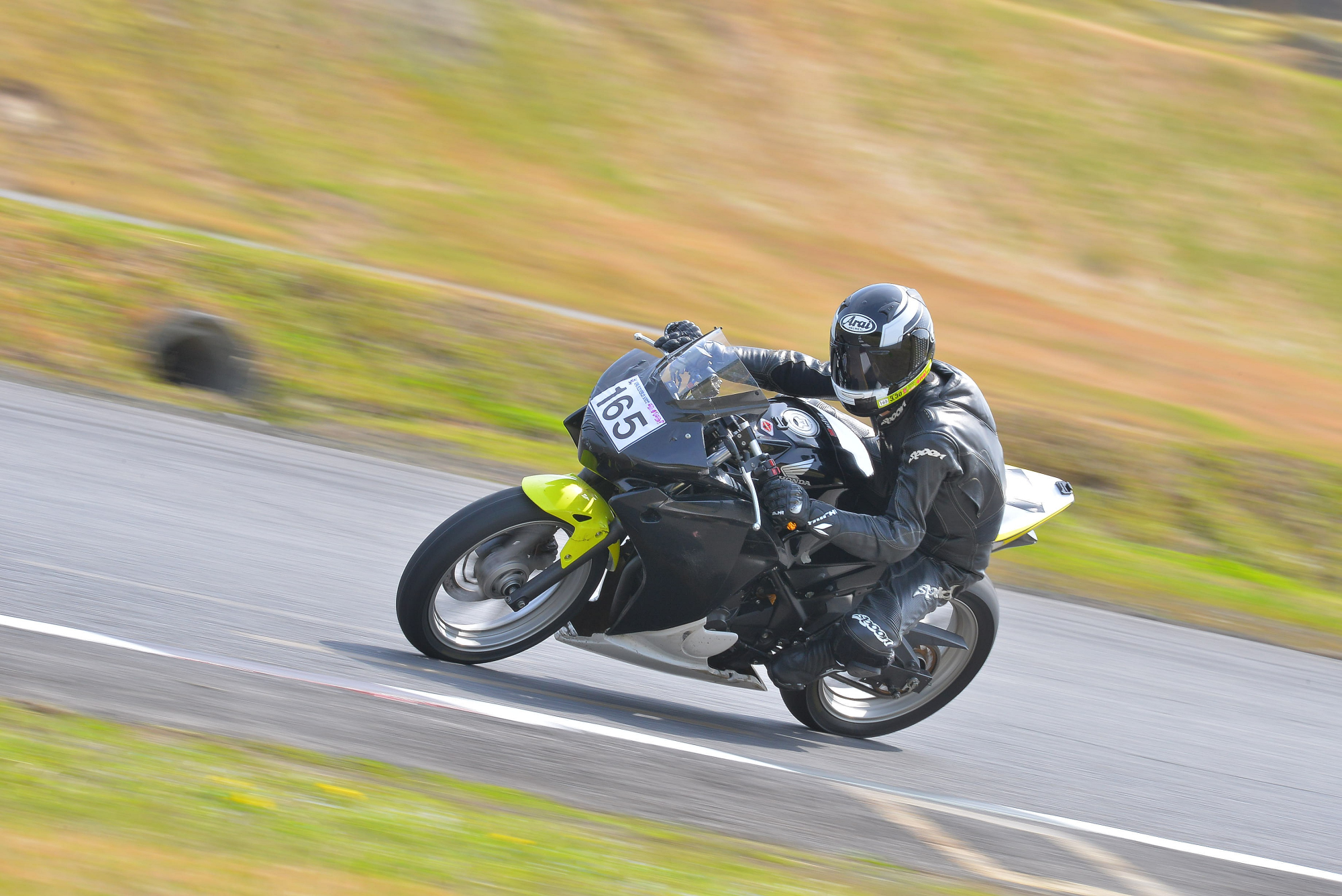 D8J_0234.JPG