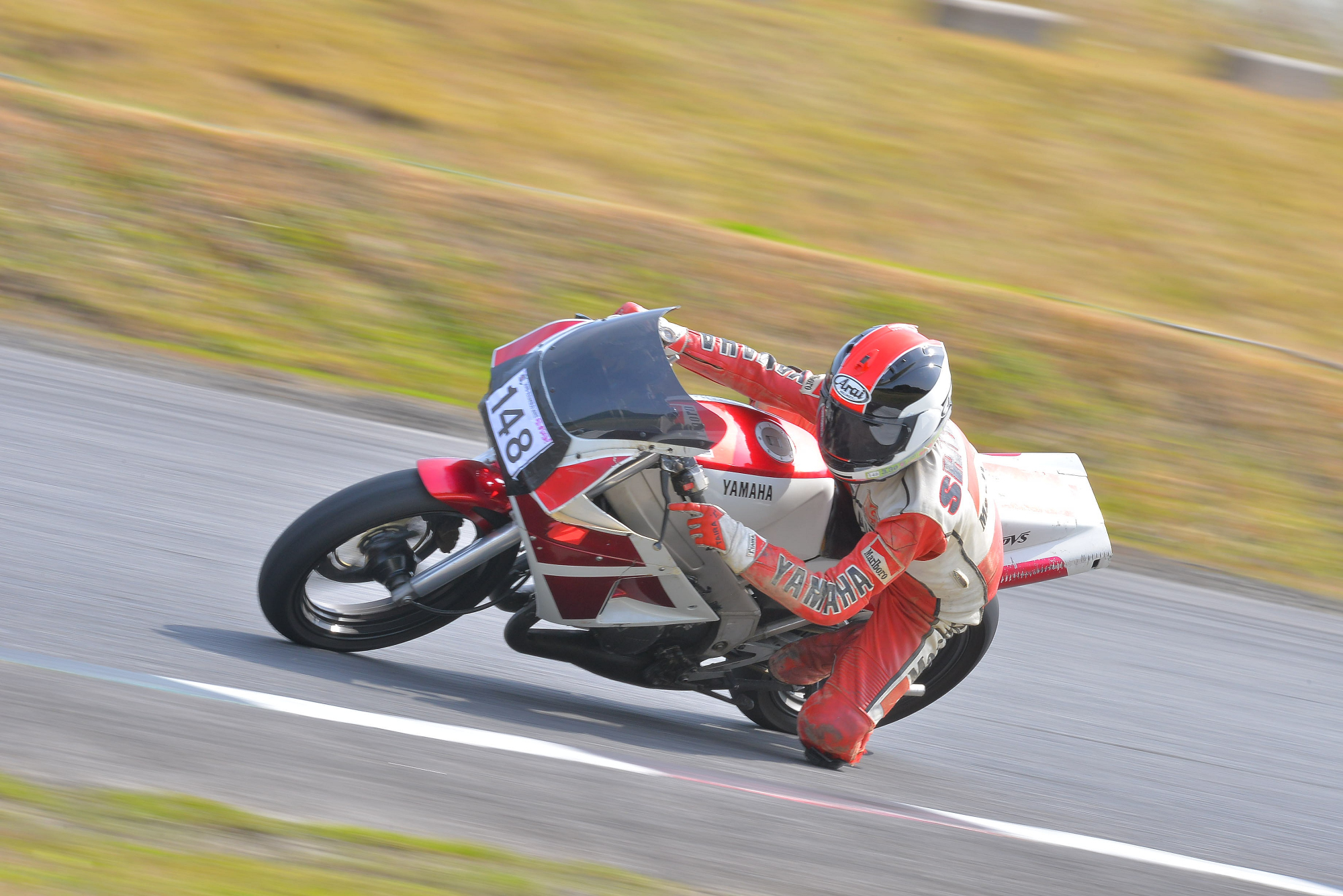 D8J_0237.JPG