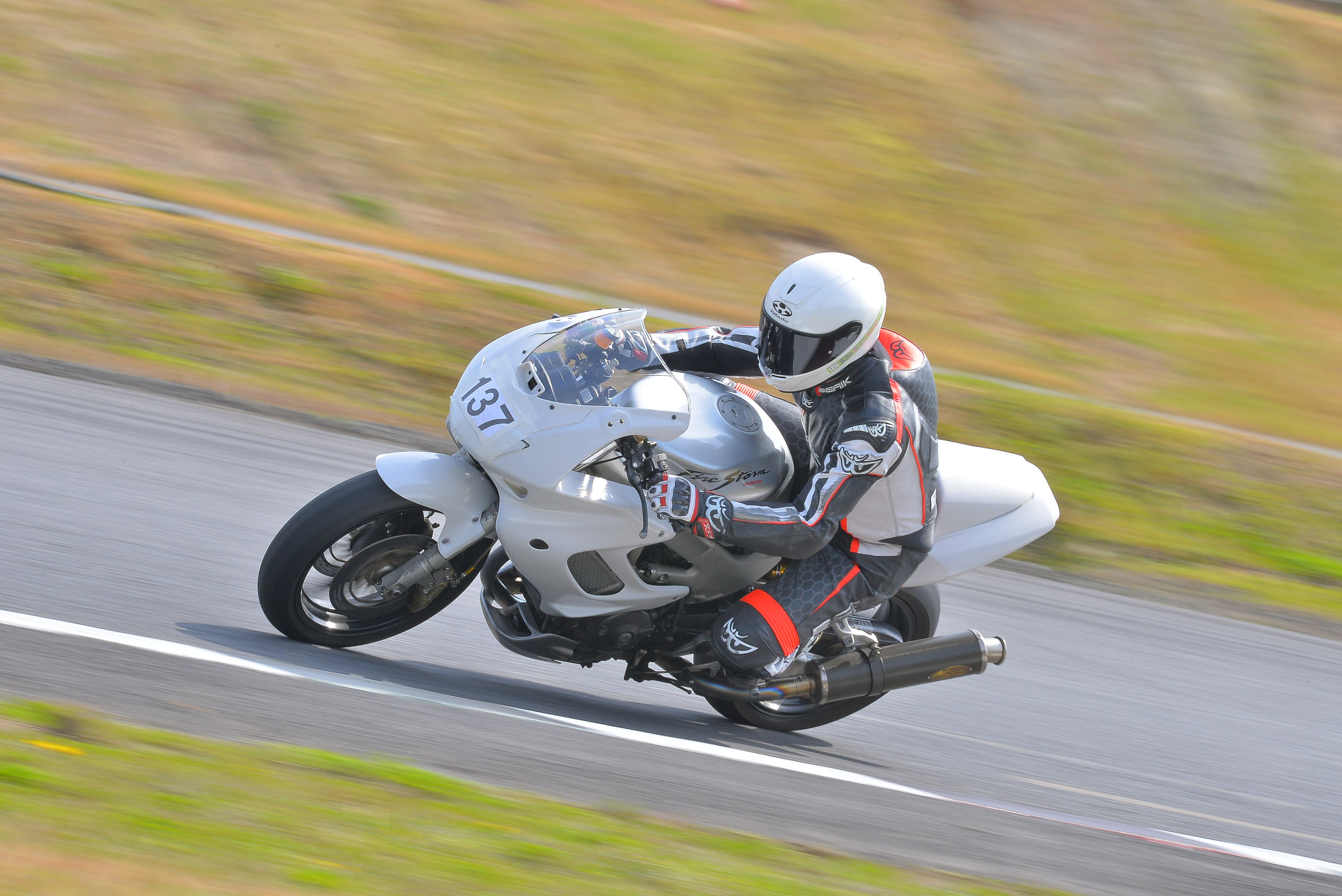 D8J_0238.JPG