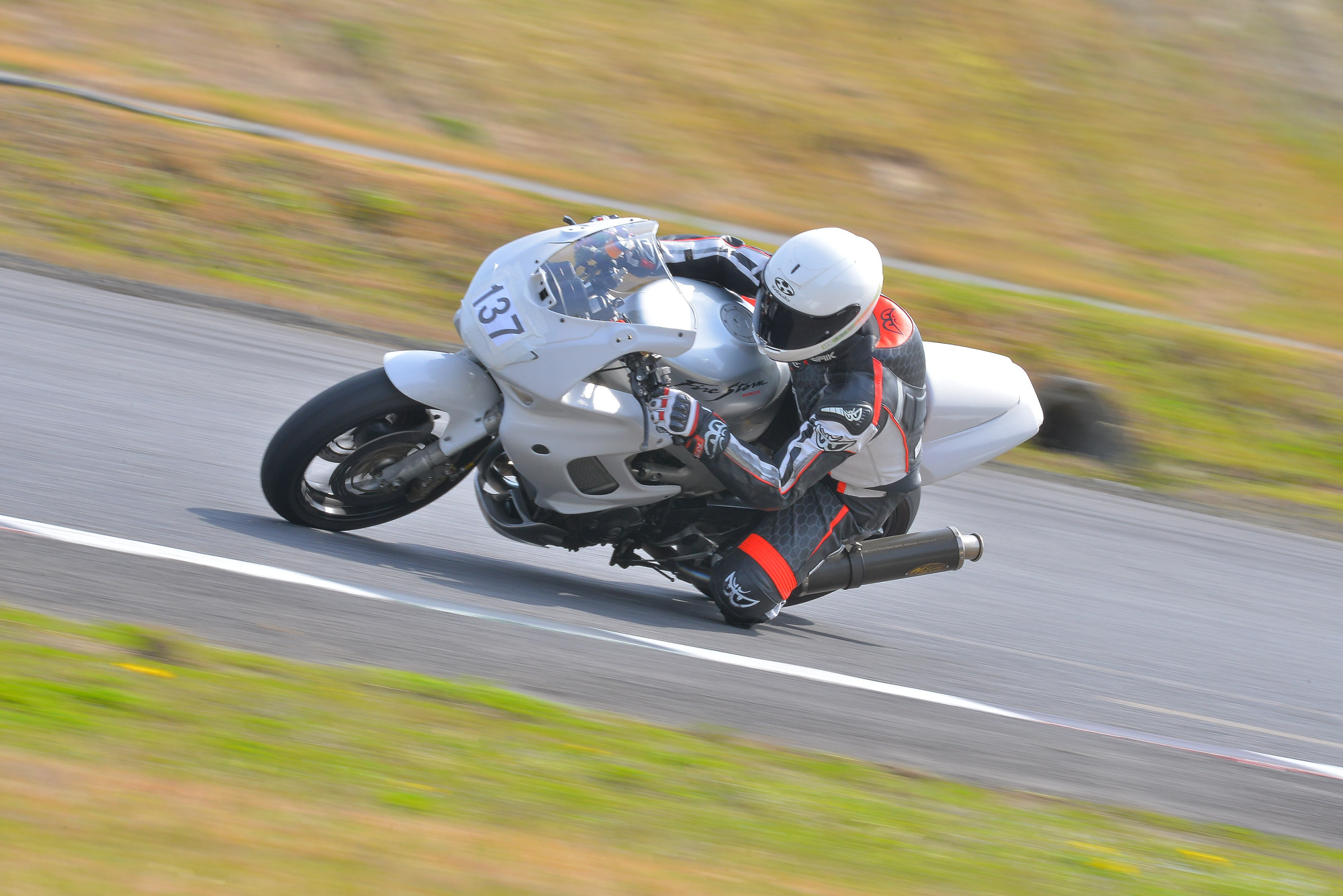 D8J_0258.JPG