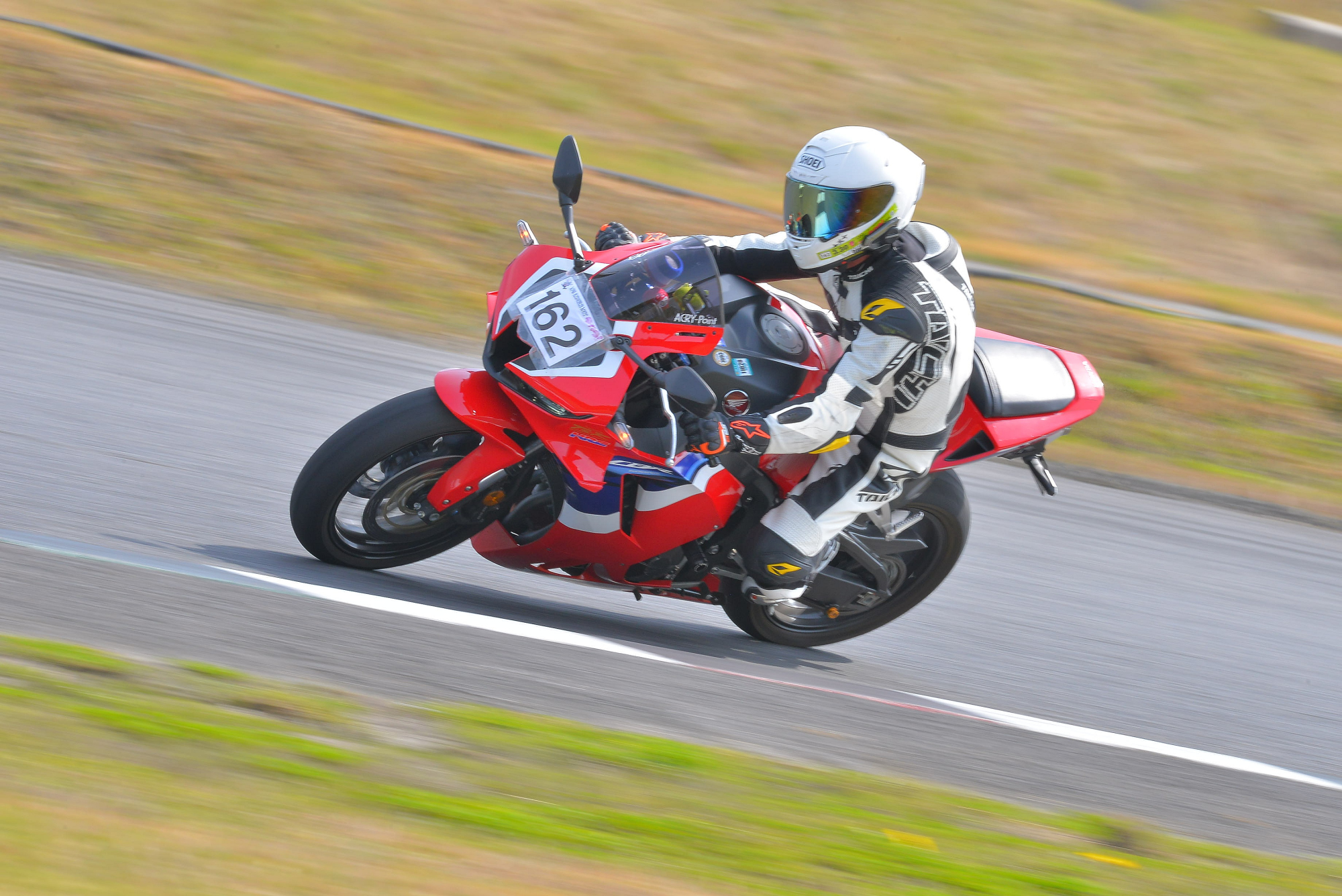 D8J_0262.JPG