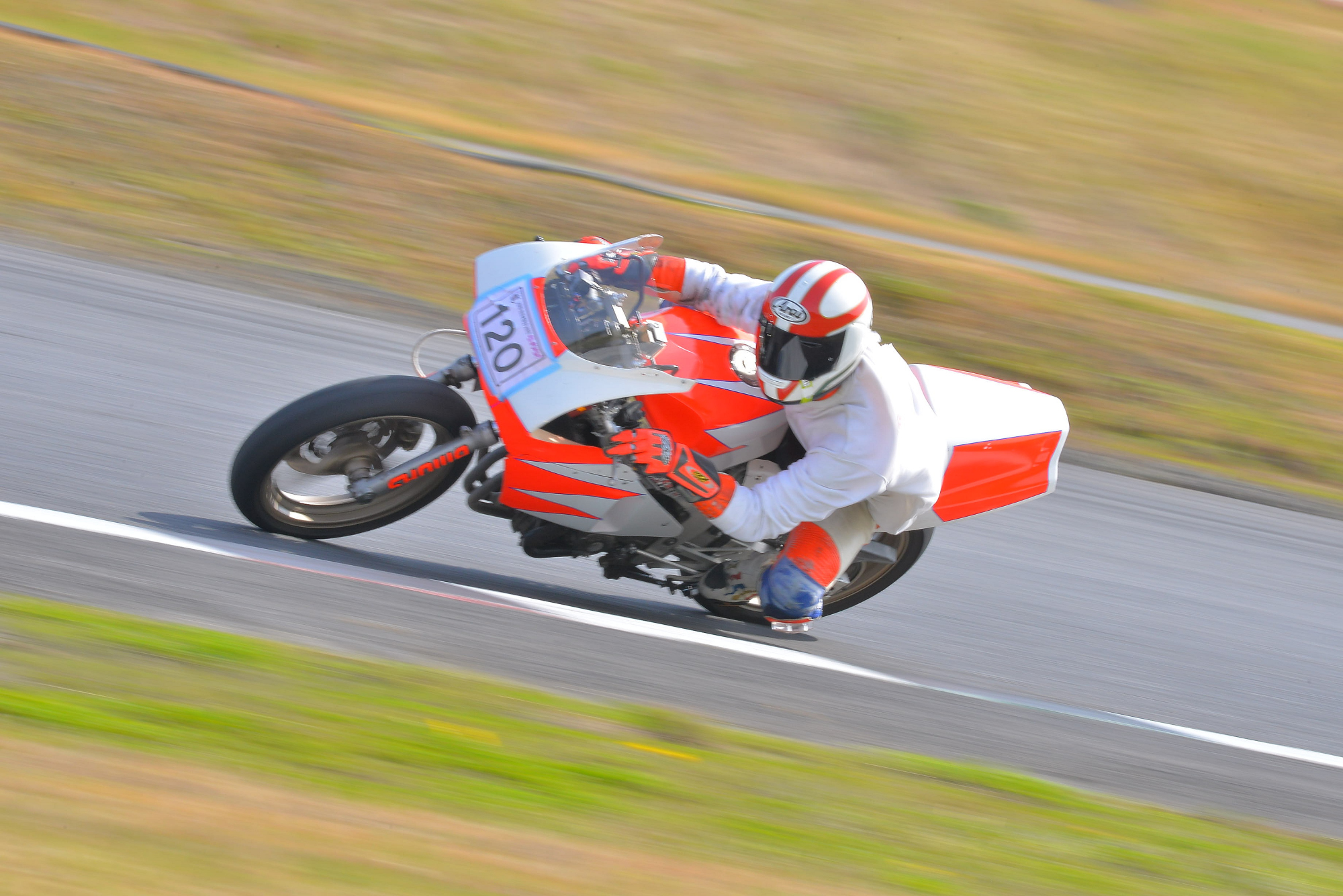 D8J_0453.JPG