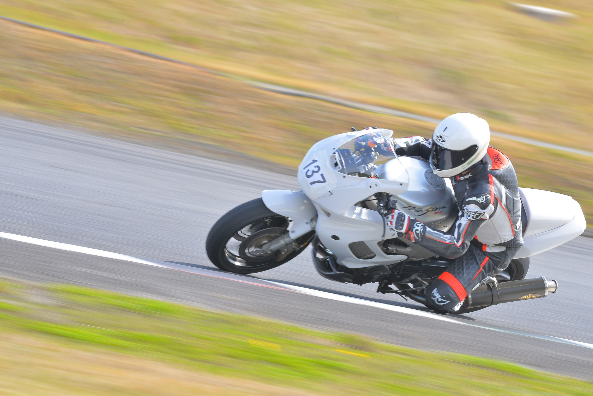 D8J_0463.JPG