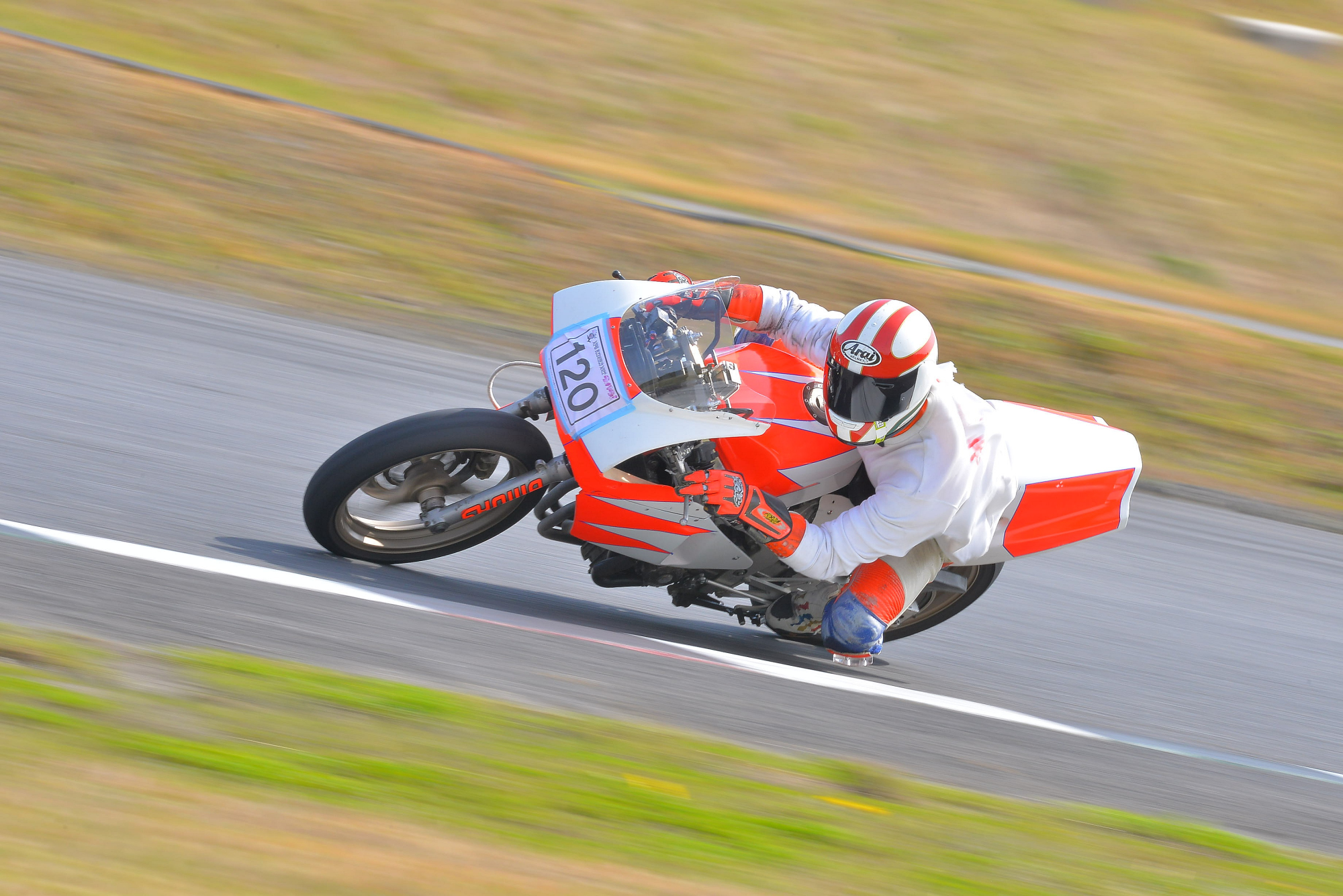 D8J_0478.JPG