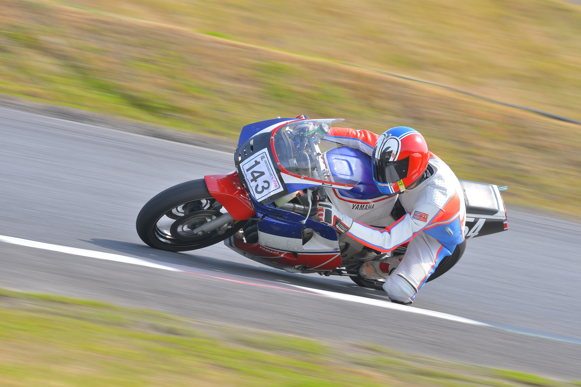 D8J_0482.JPG