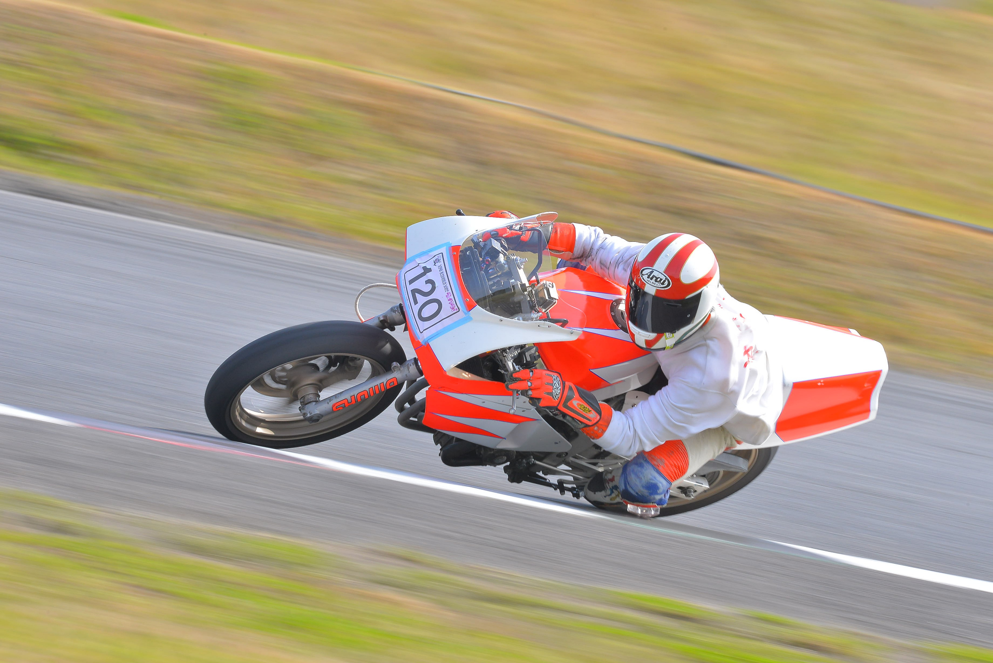 D8J_0504.JPG