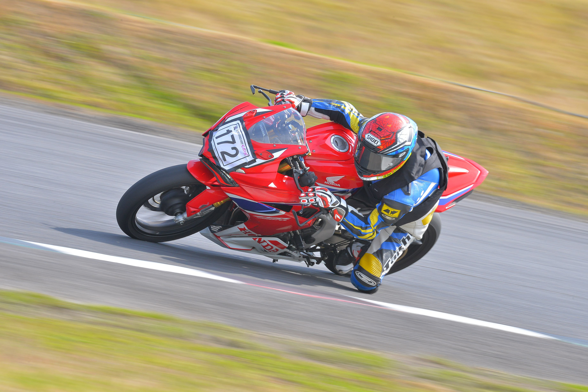 D8J_0516.JPG