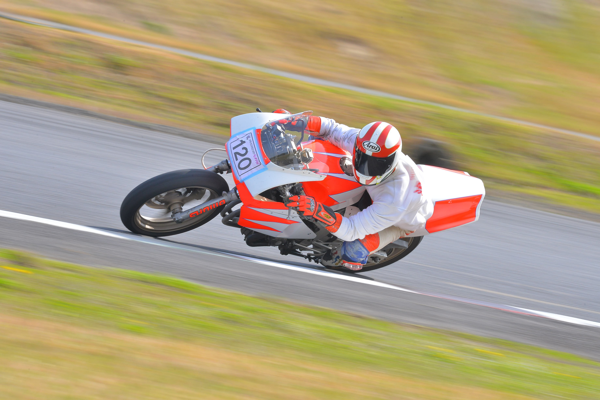 D8J_0524.JPG