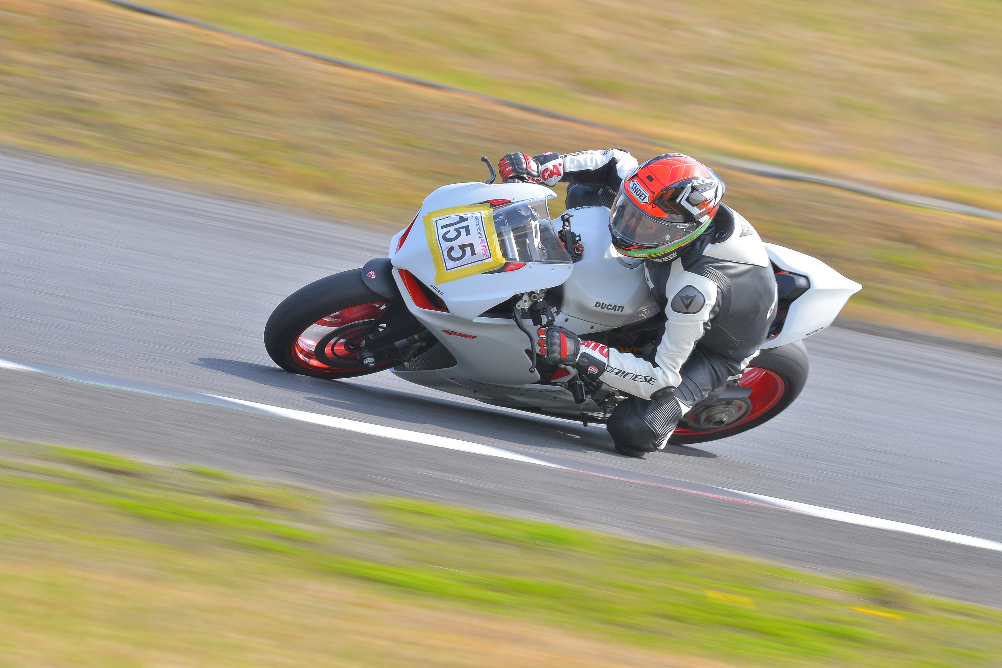 D8J_0533.JPG