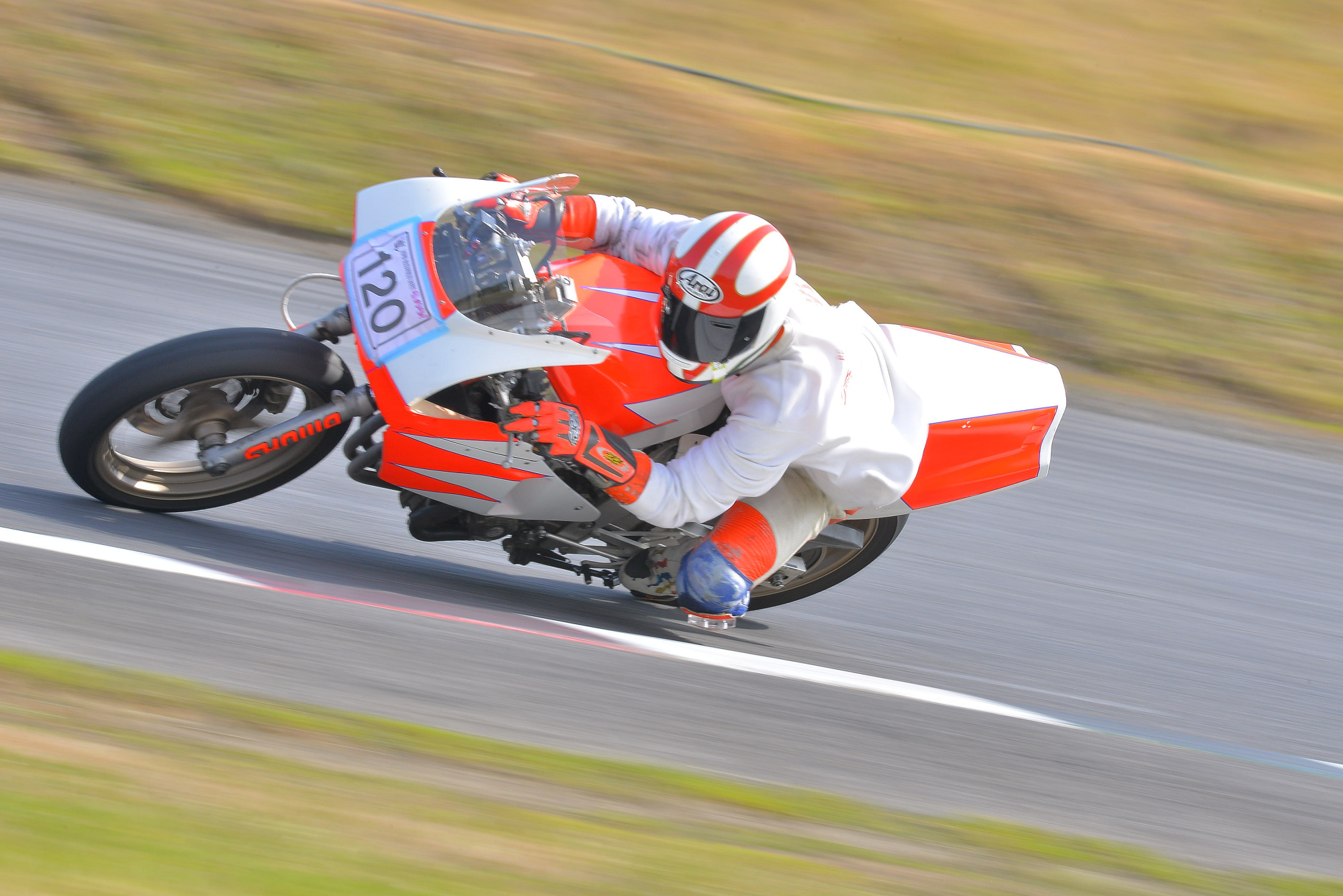 D8J_0547.JPG