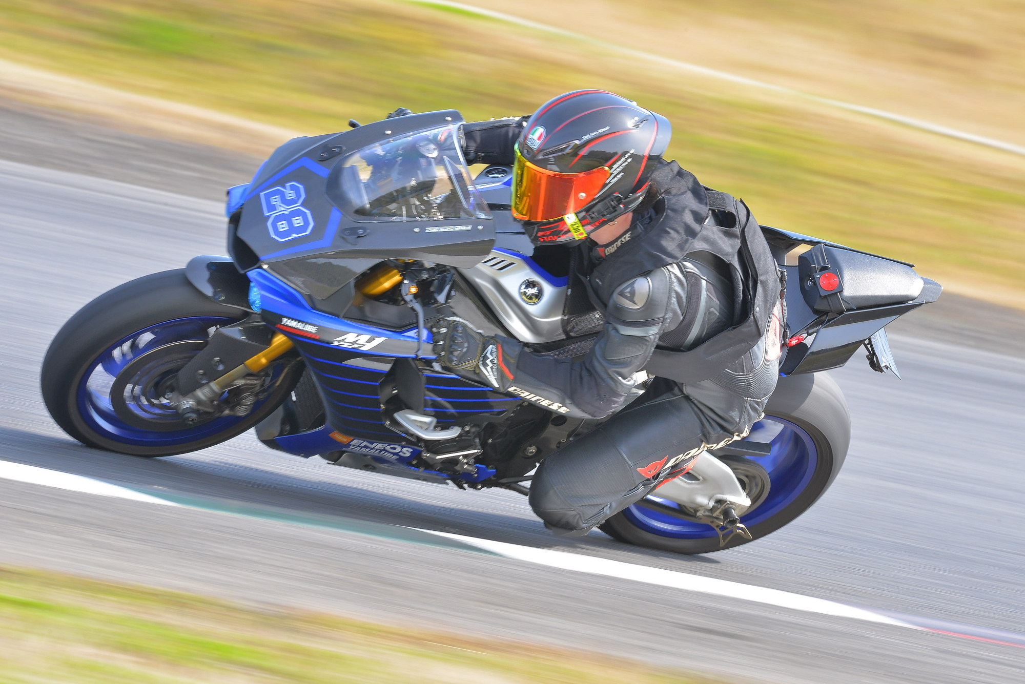 D8J_0567.JPG