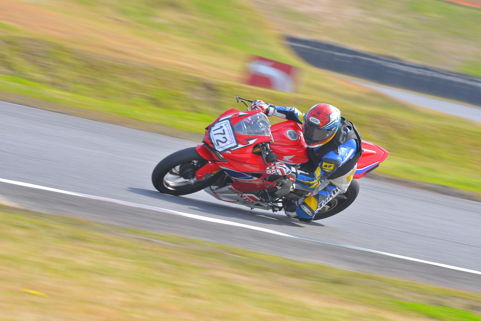 D8J_0589.JPG