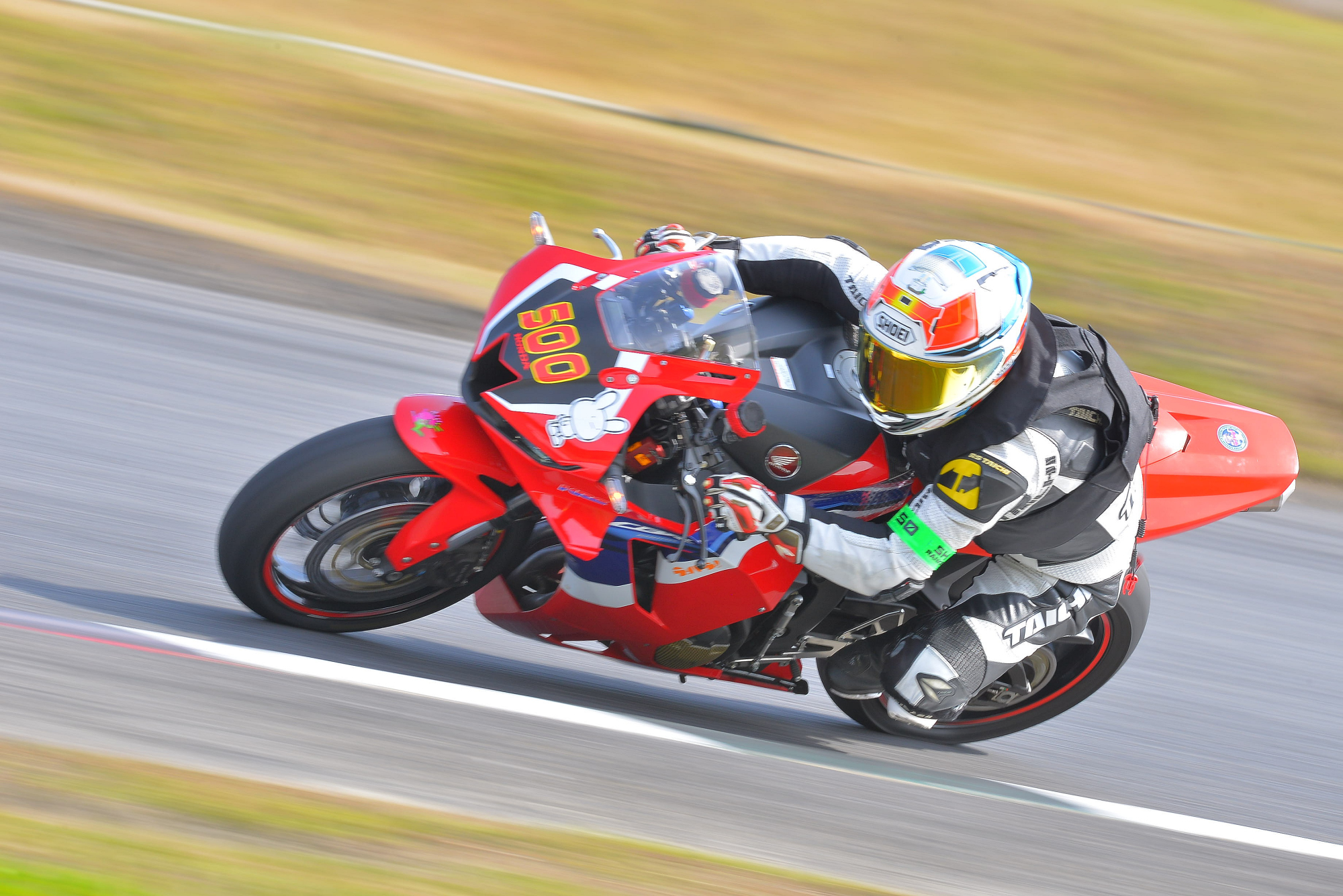 D8J_0650.JPG