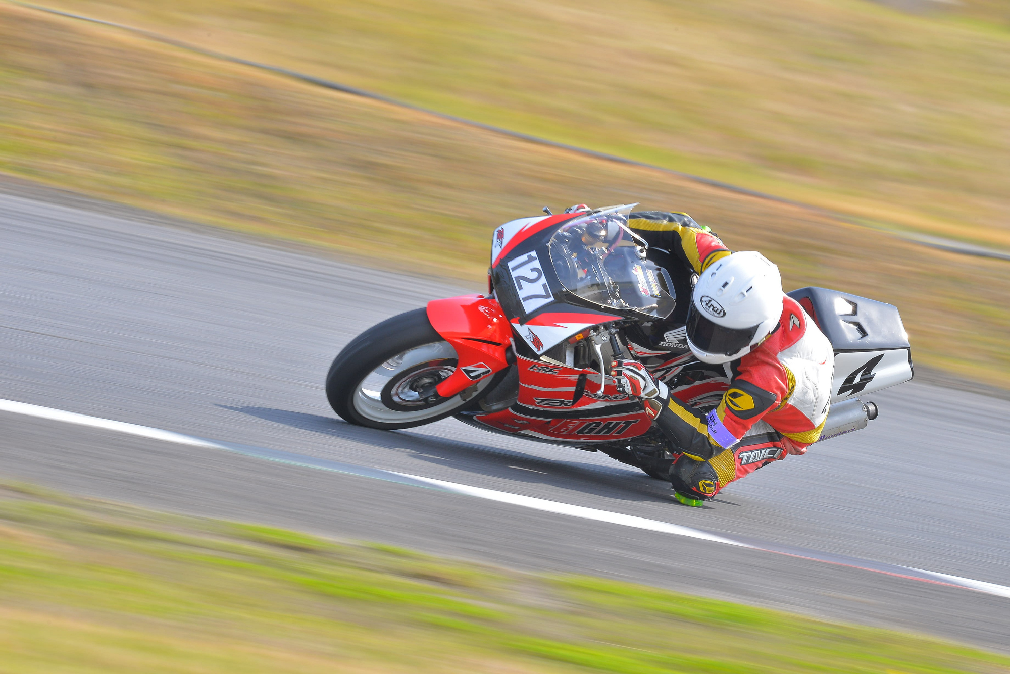 D8J_0655.JPG