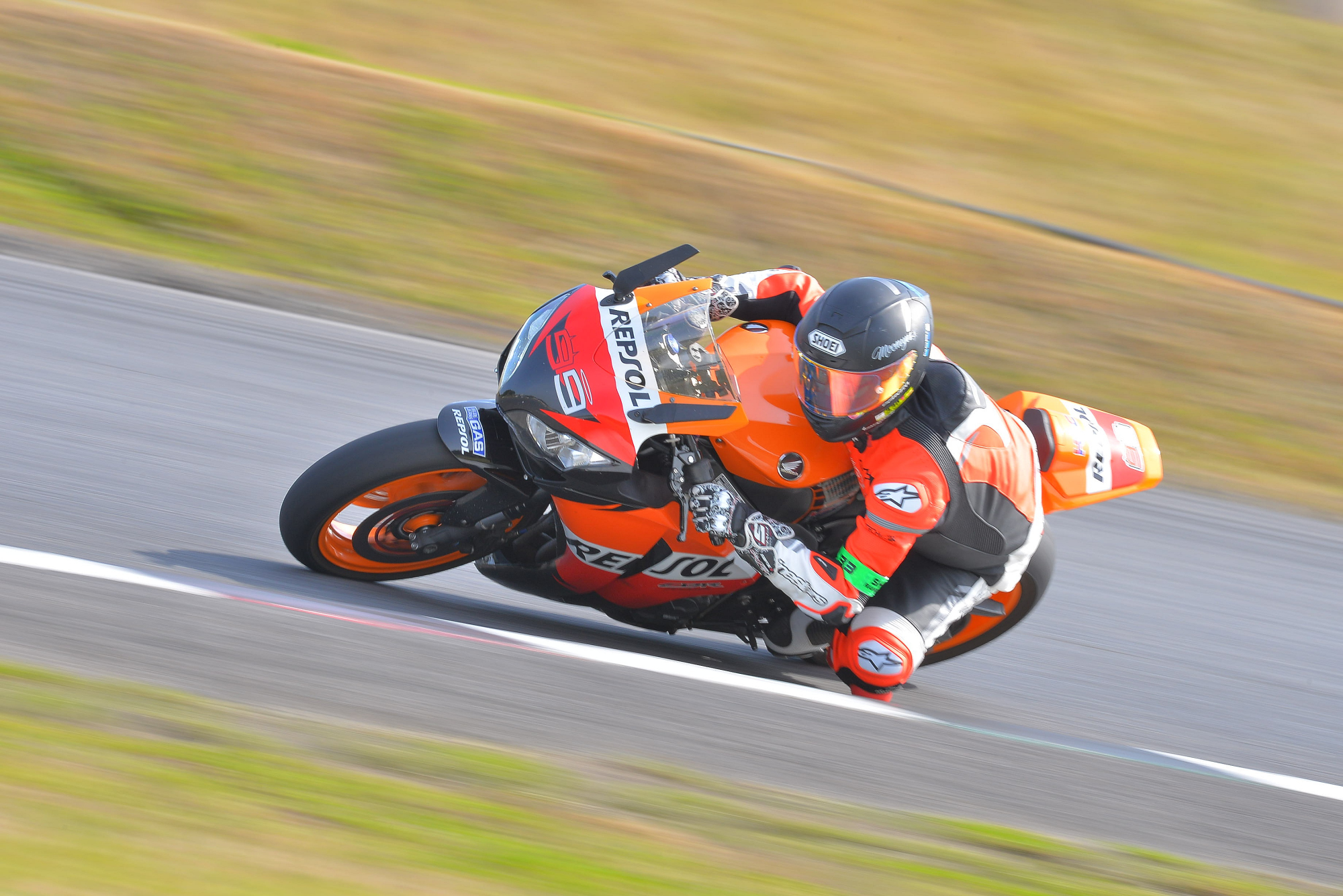 D8J_0658.JPG