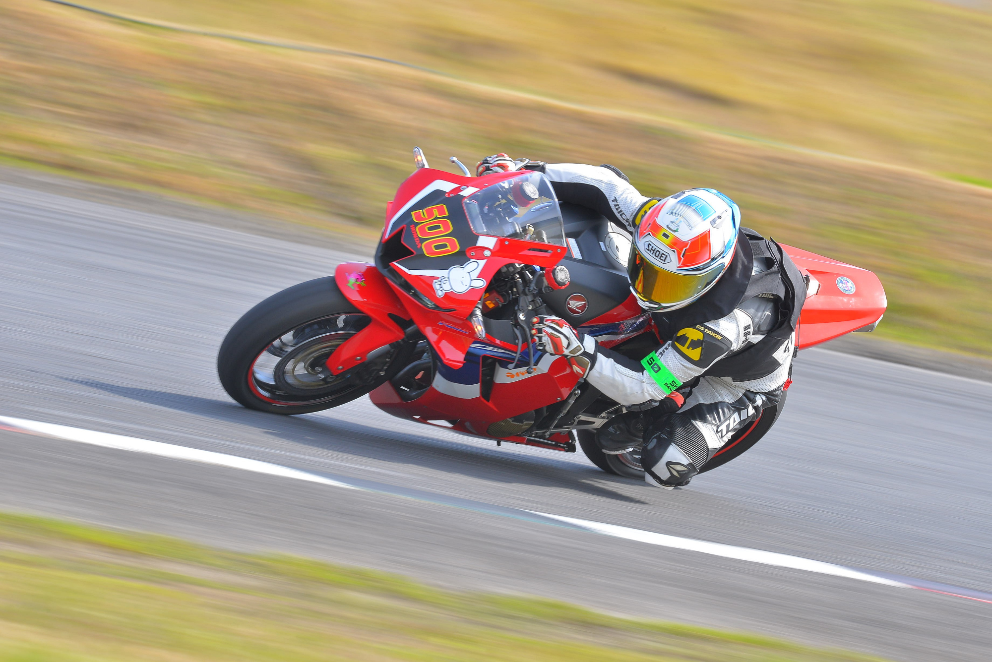 D8J_0665.JPG