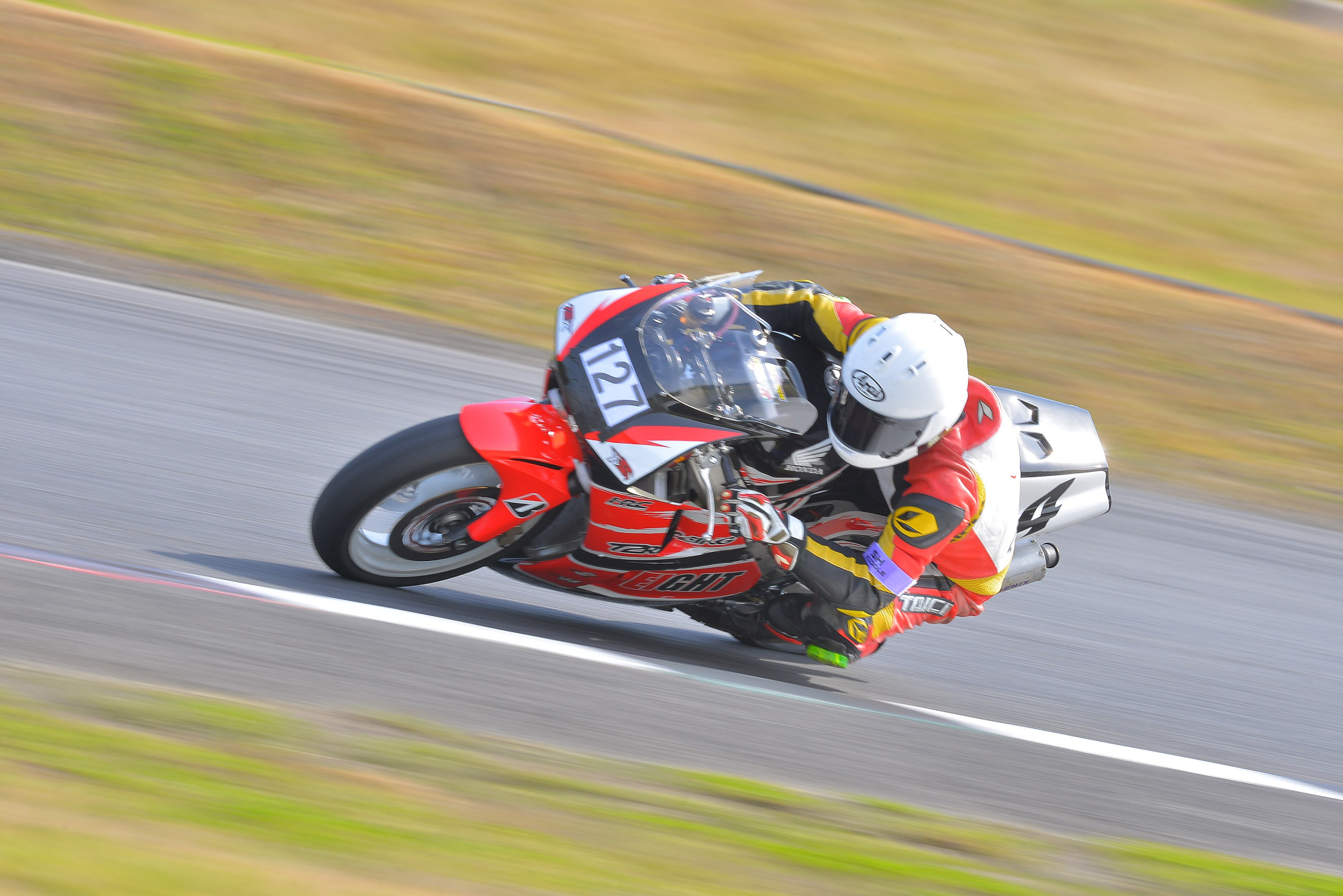 D8J_0691.JPG