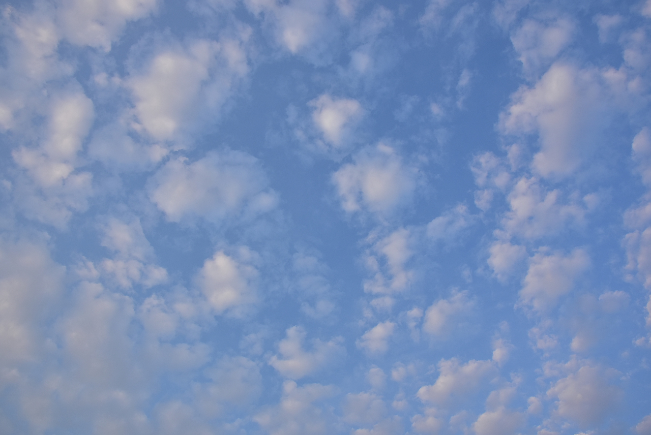 D72_8243.JPG
