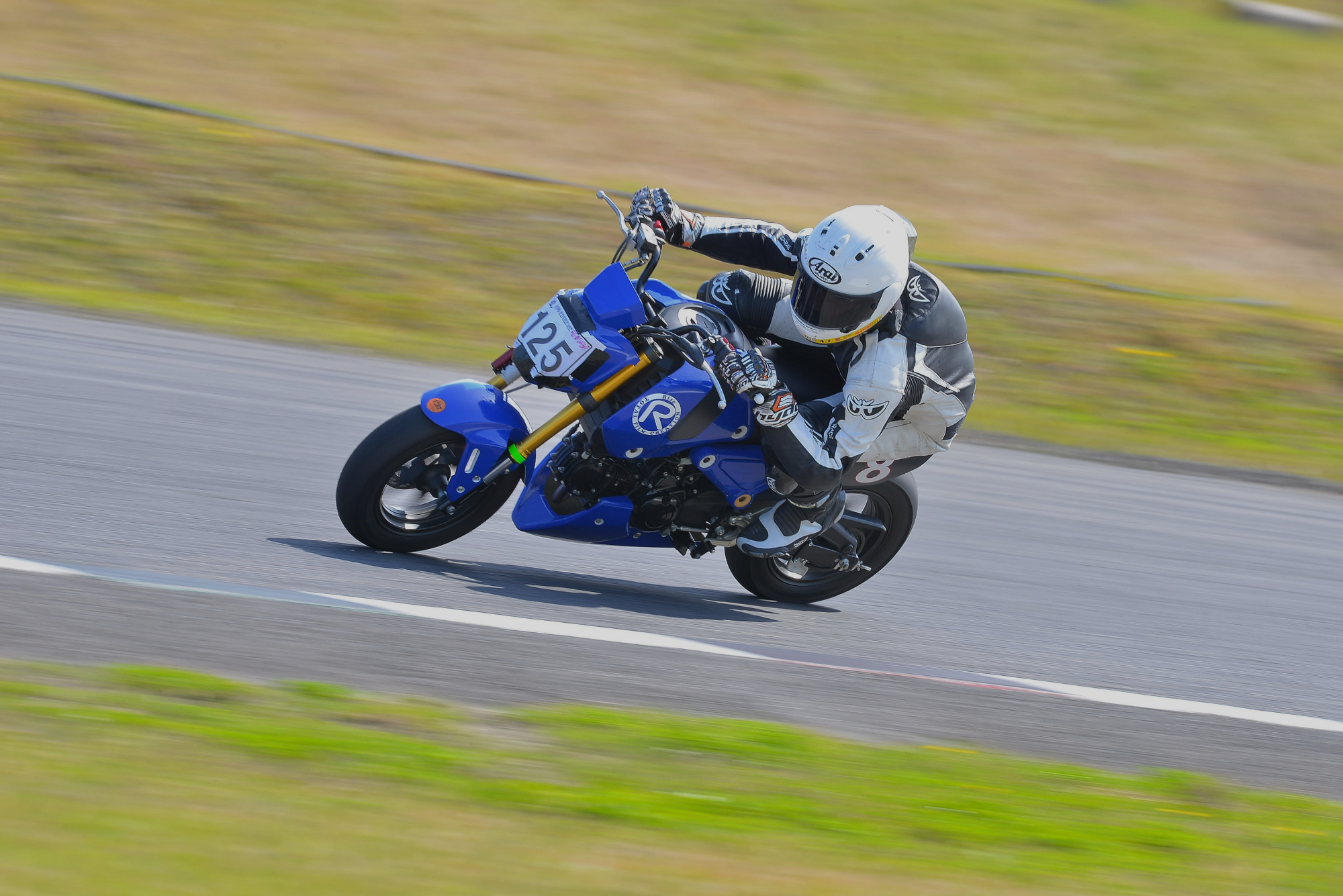 D8J_0029.JPG