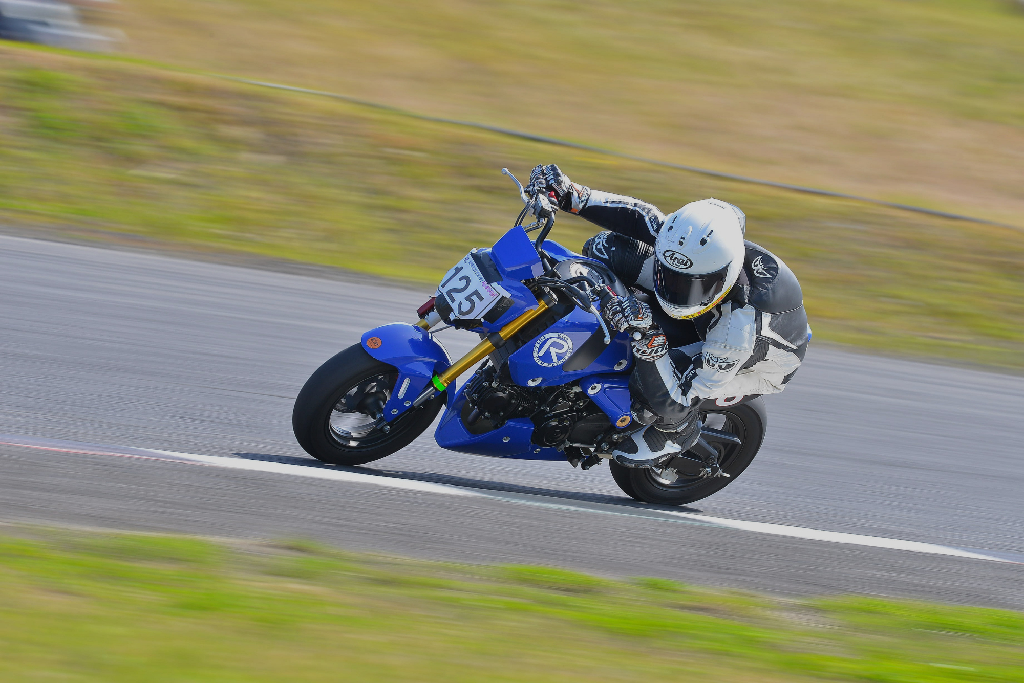 D8J_0047.JPG