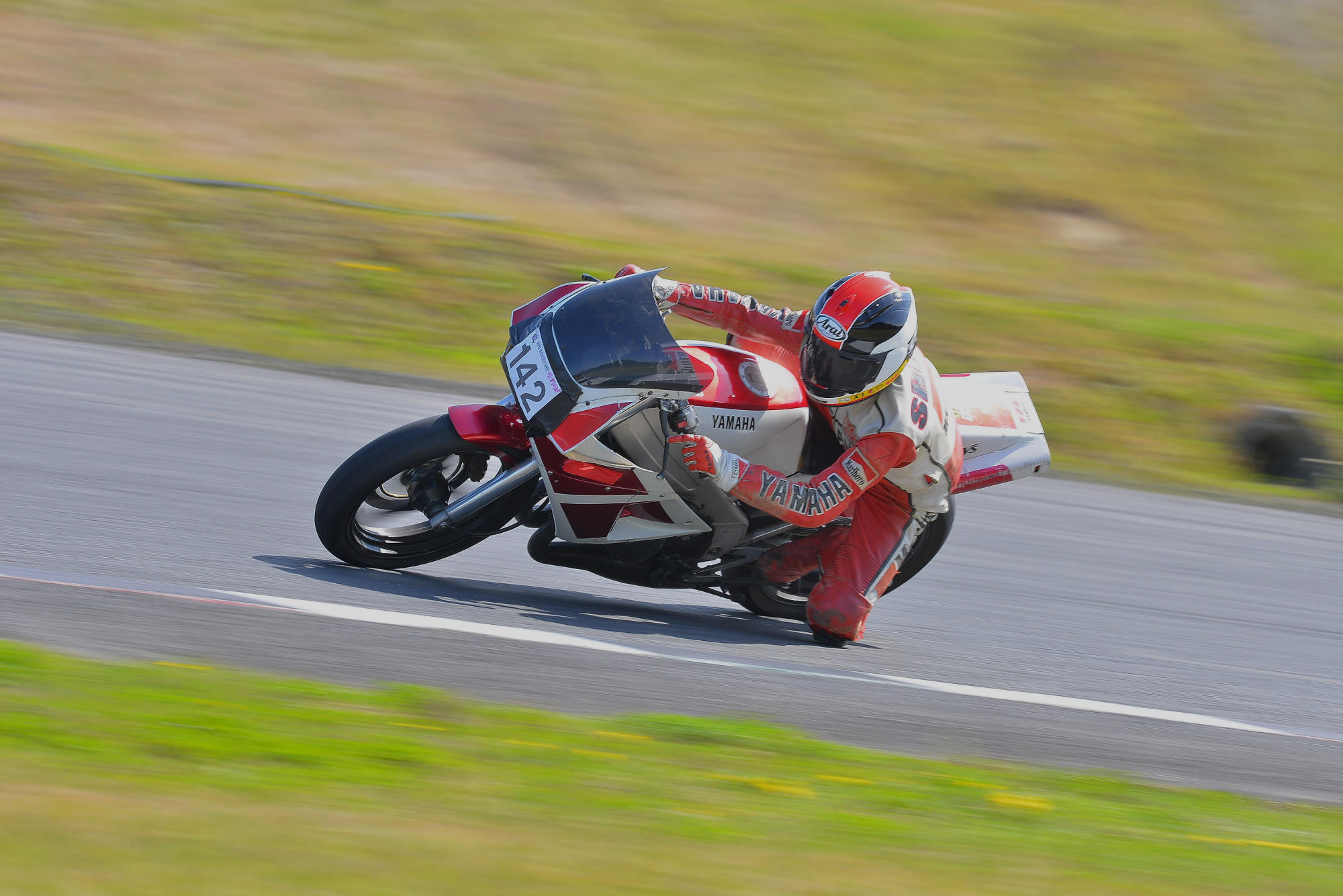 D8J_0050.JPG