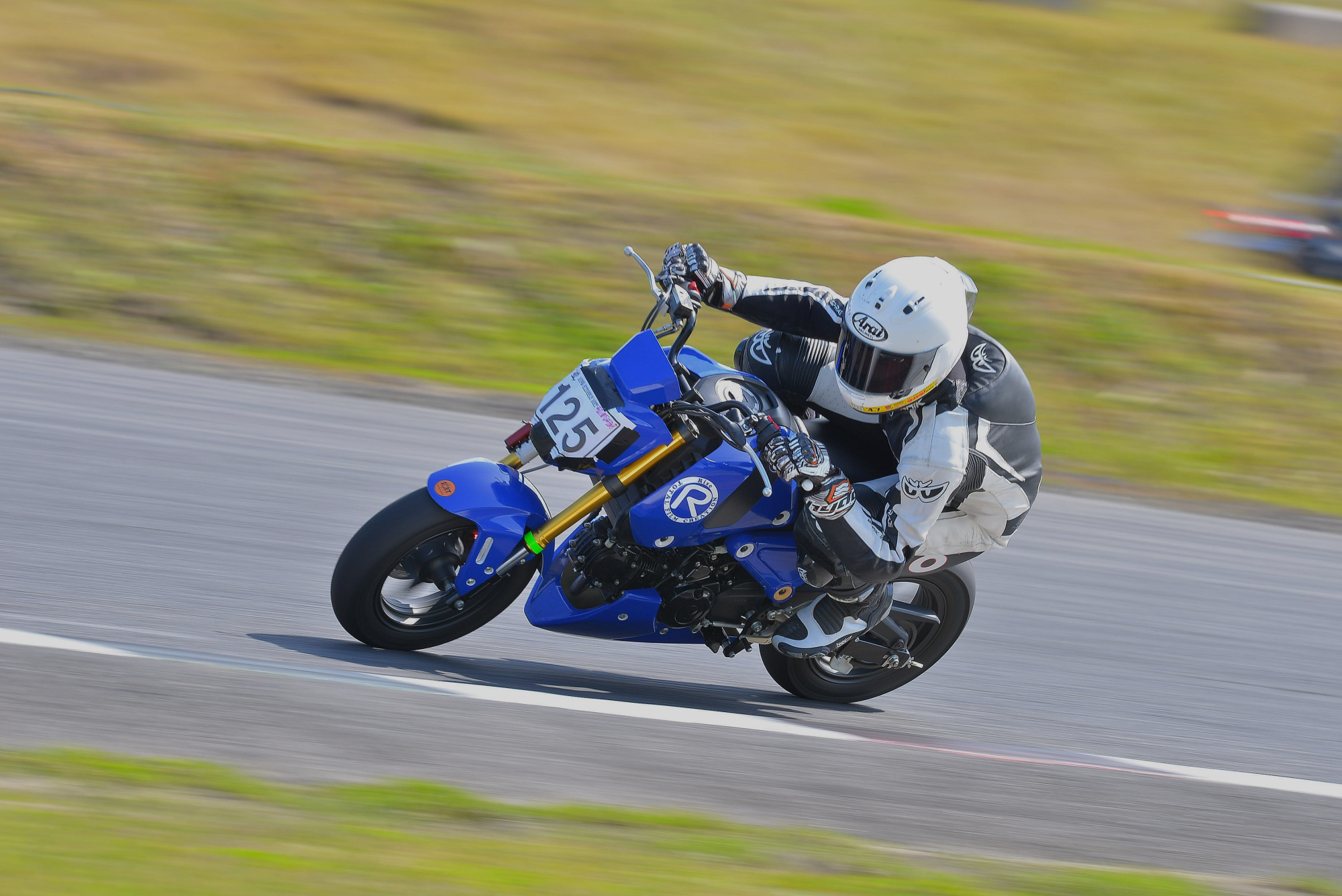 D8J_0070.JPG