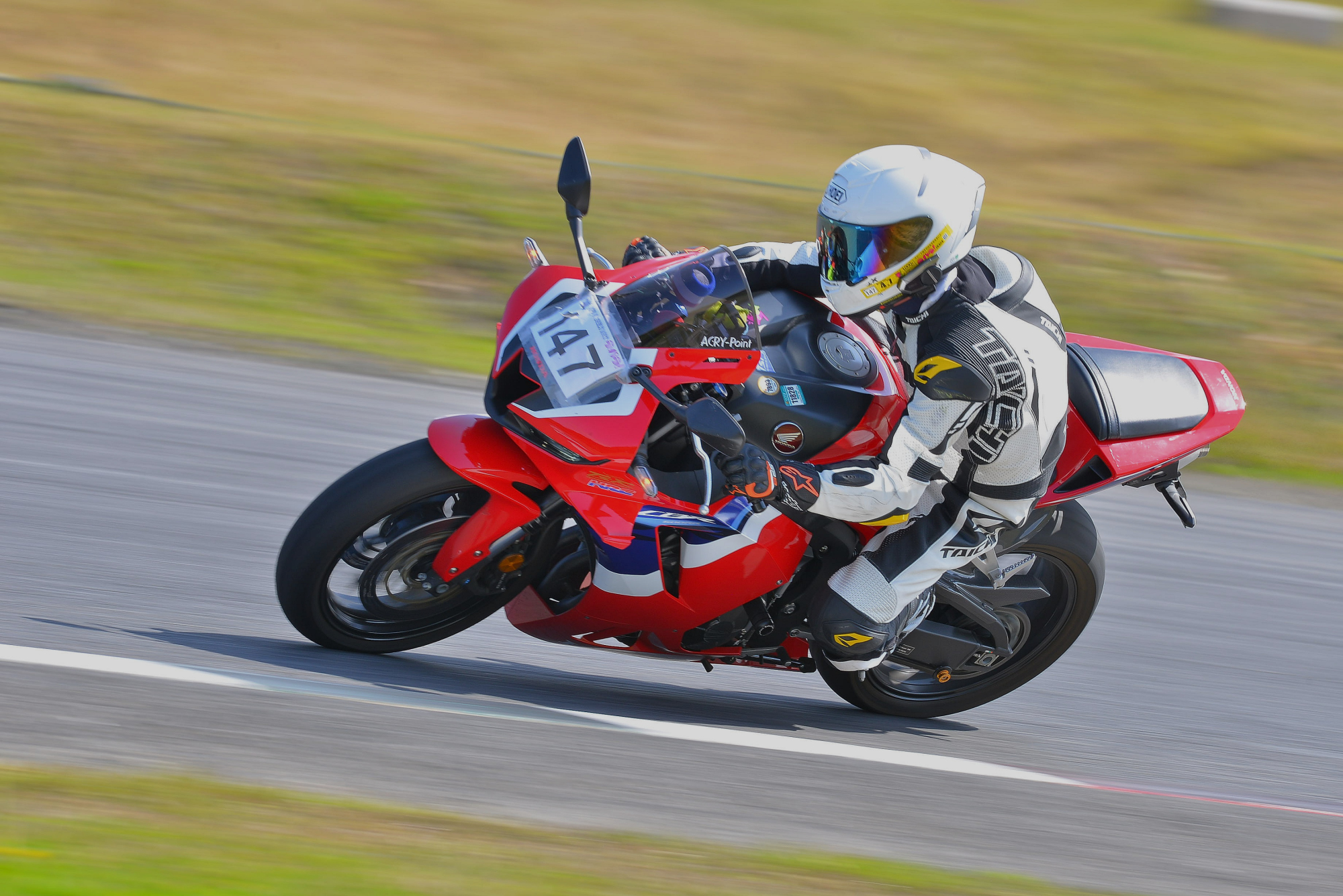D8J_0084.JPG