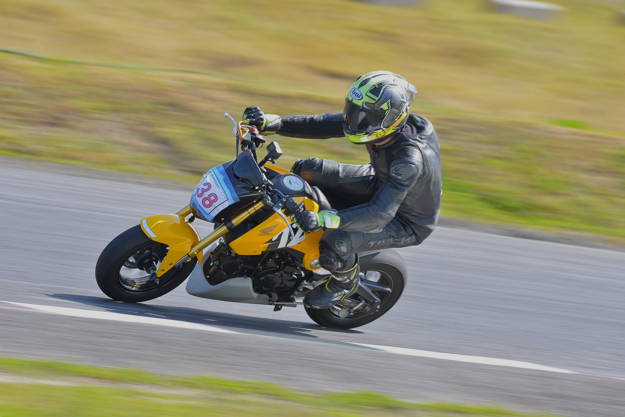 D8J_0088.JPG