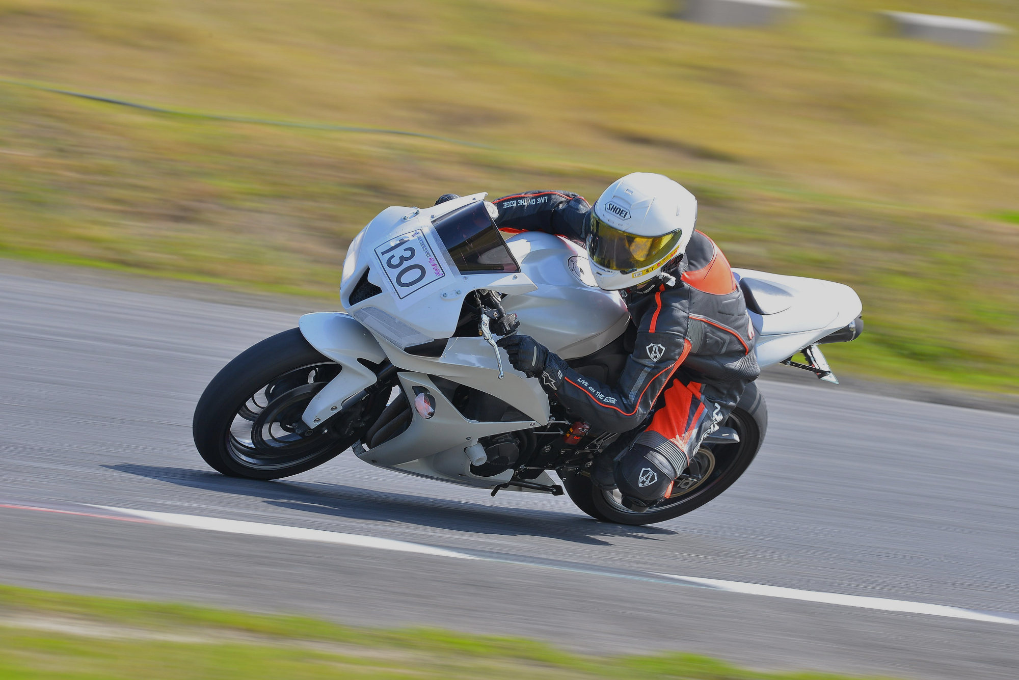 D8J_0097.JPG