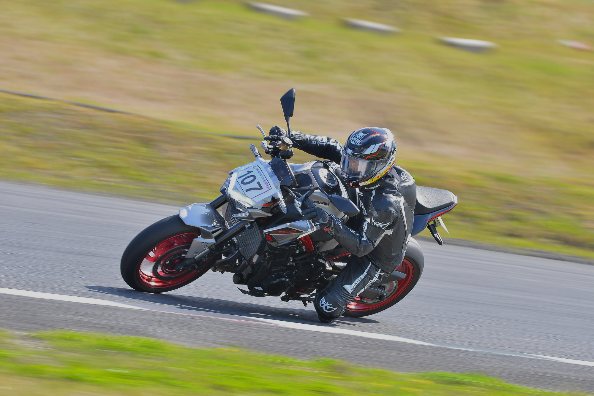 D8J_0117.JPG