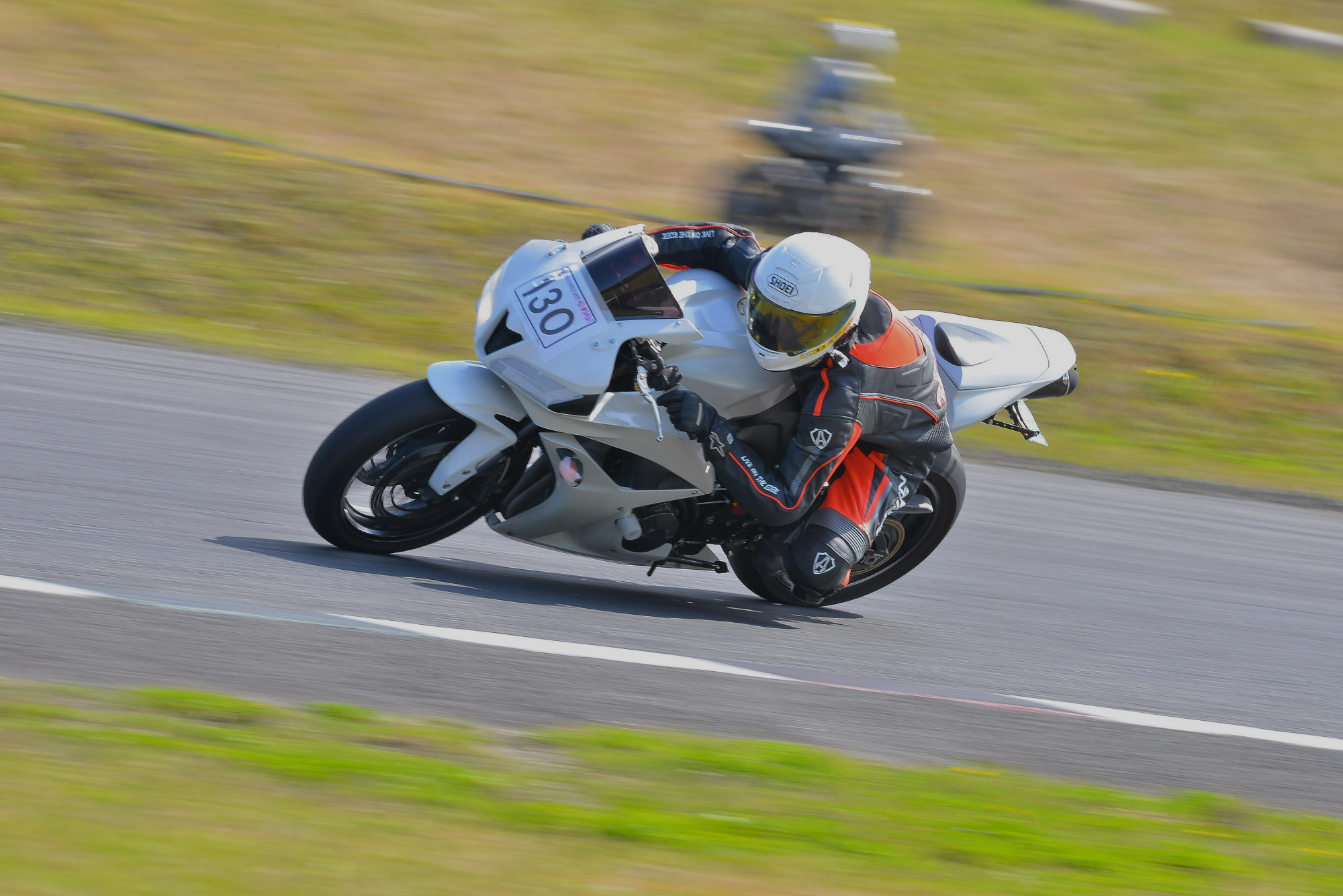 D8J_0151.JPG