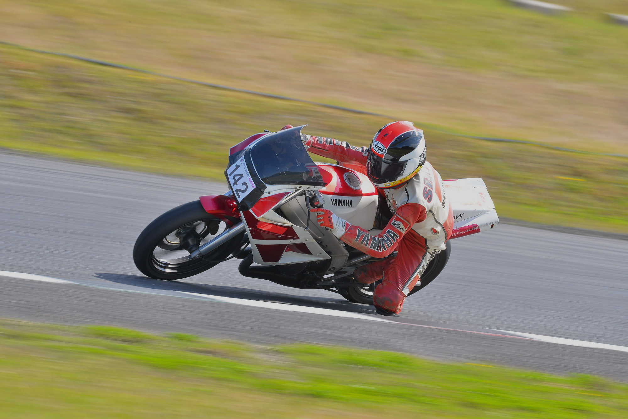 D8J_0157.JPG