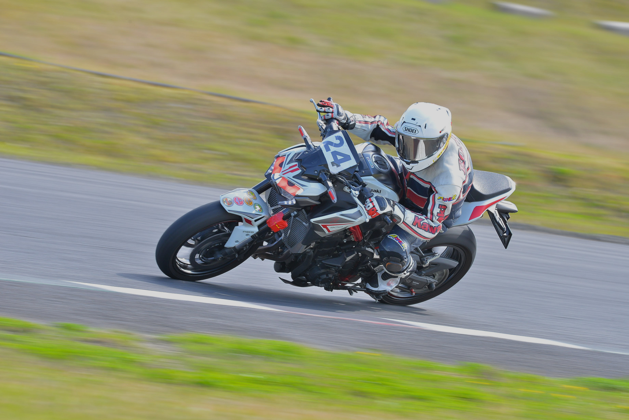 D8J_0221.JPG