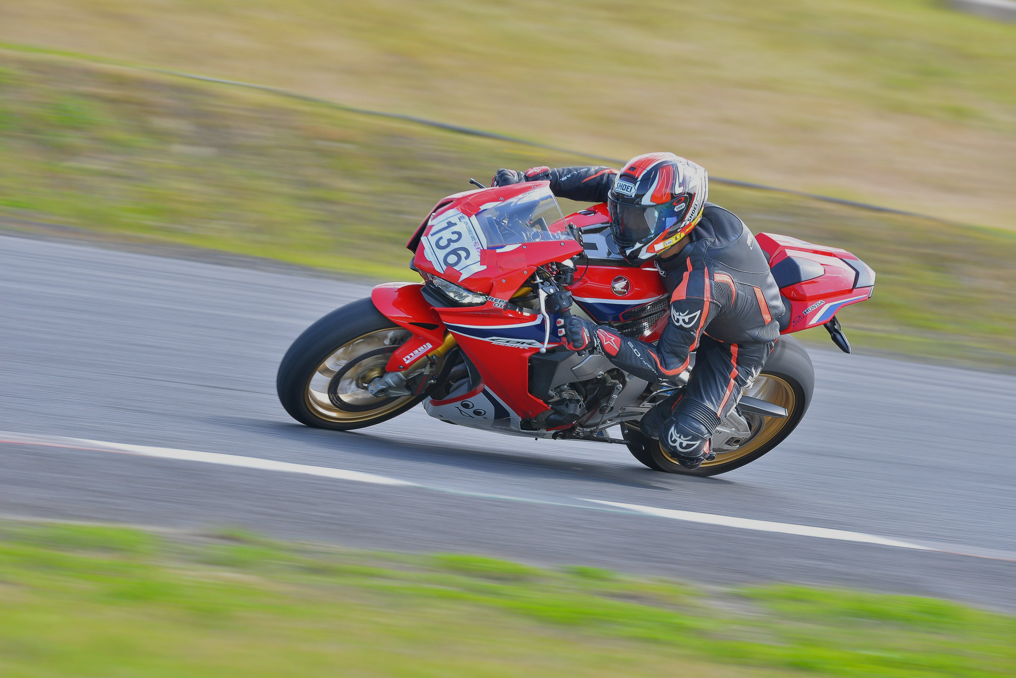 D8J_0229.JPG