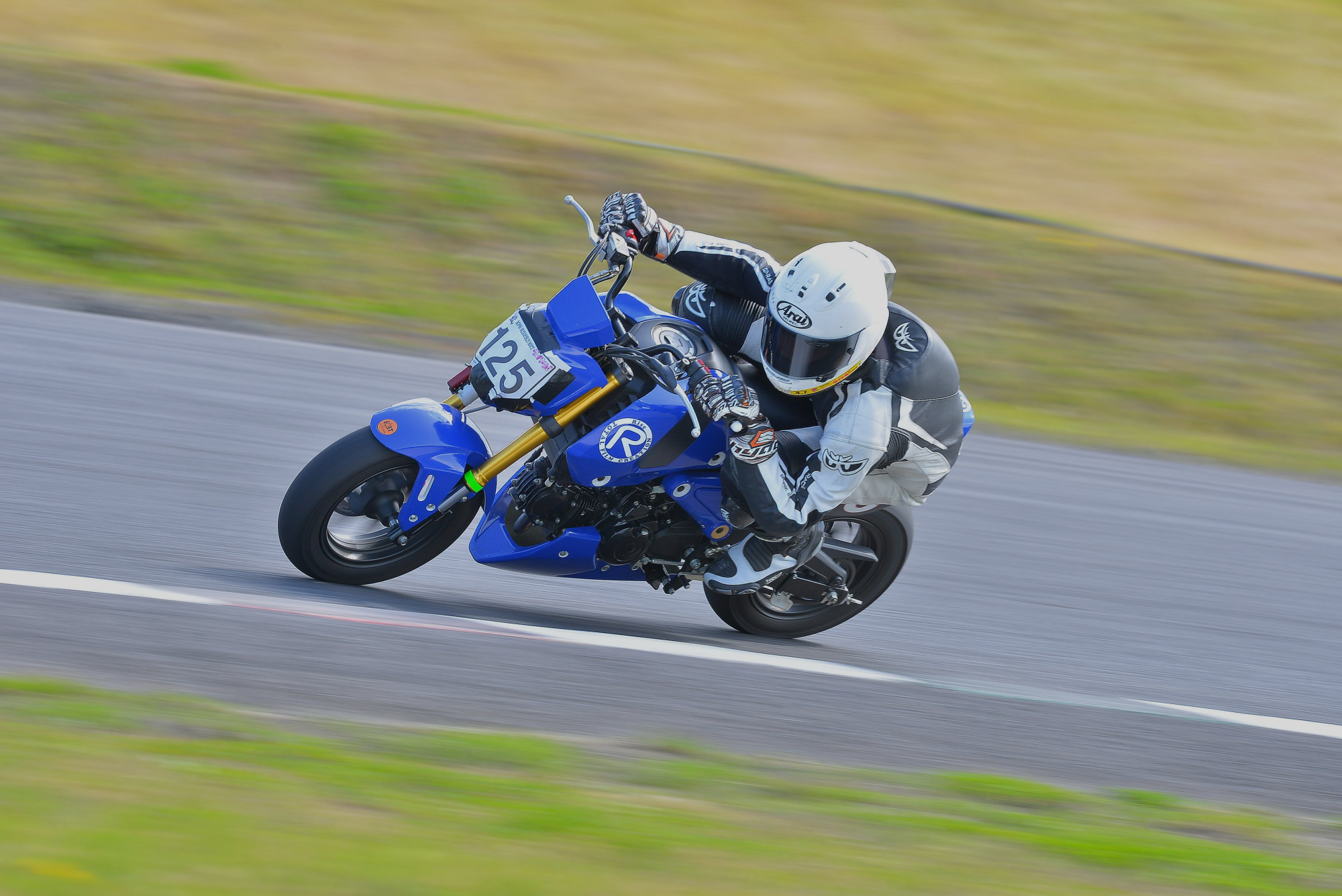 D8J_0231.JPG