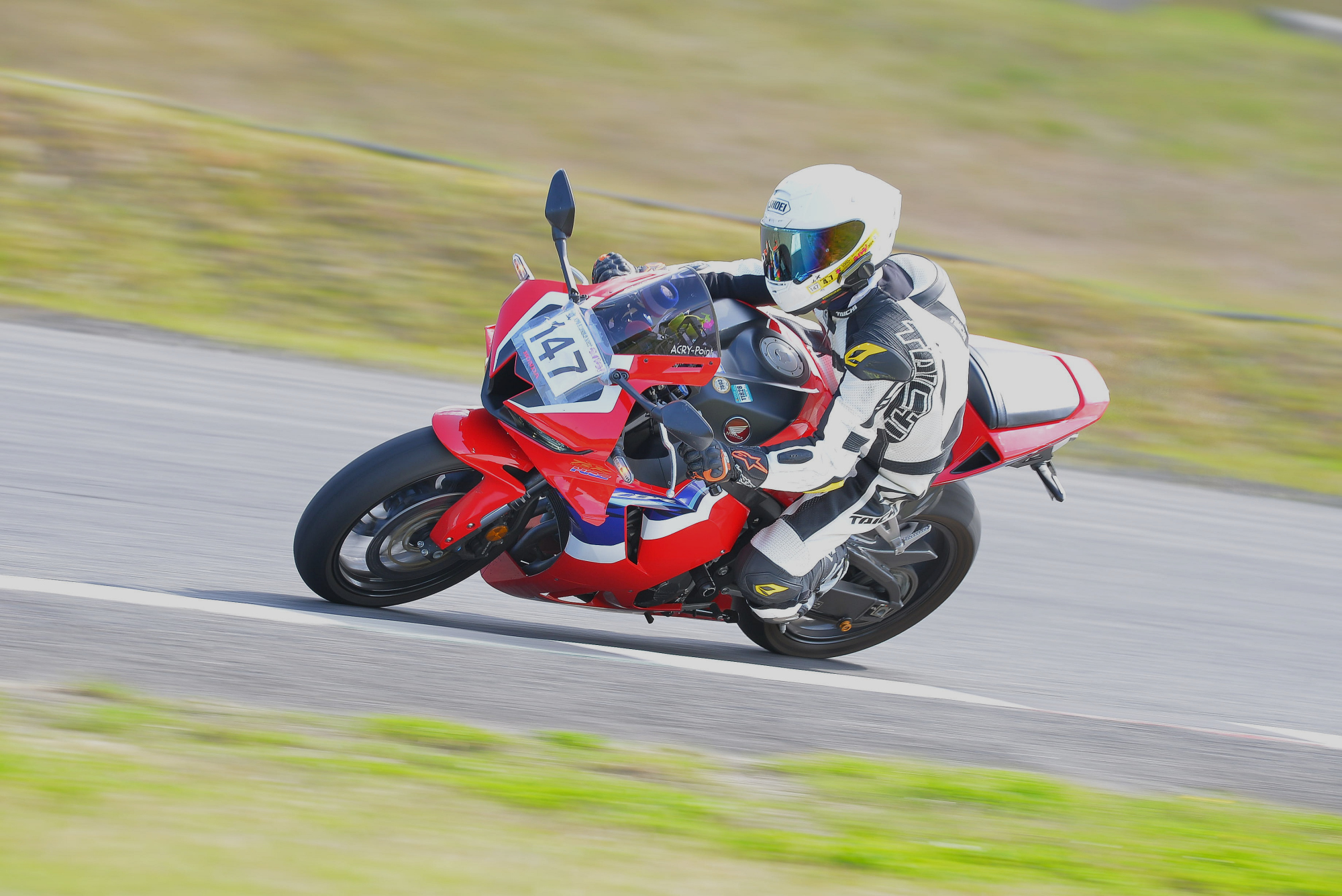 D8J_0245.JPG