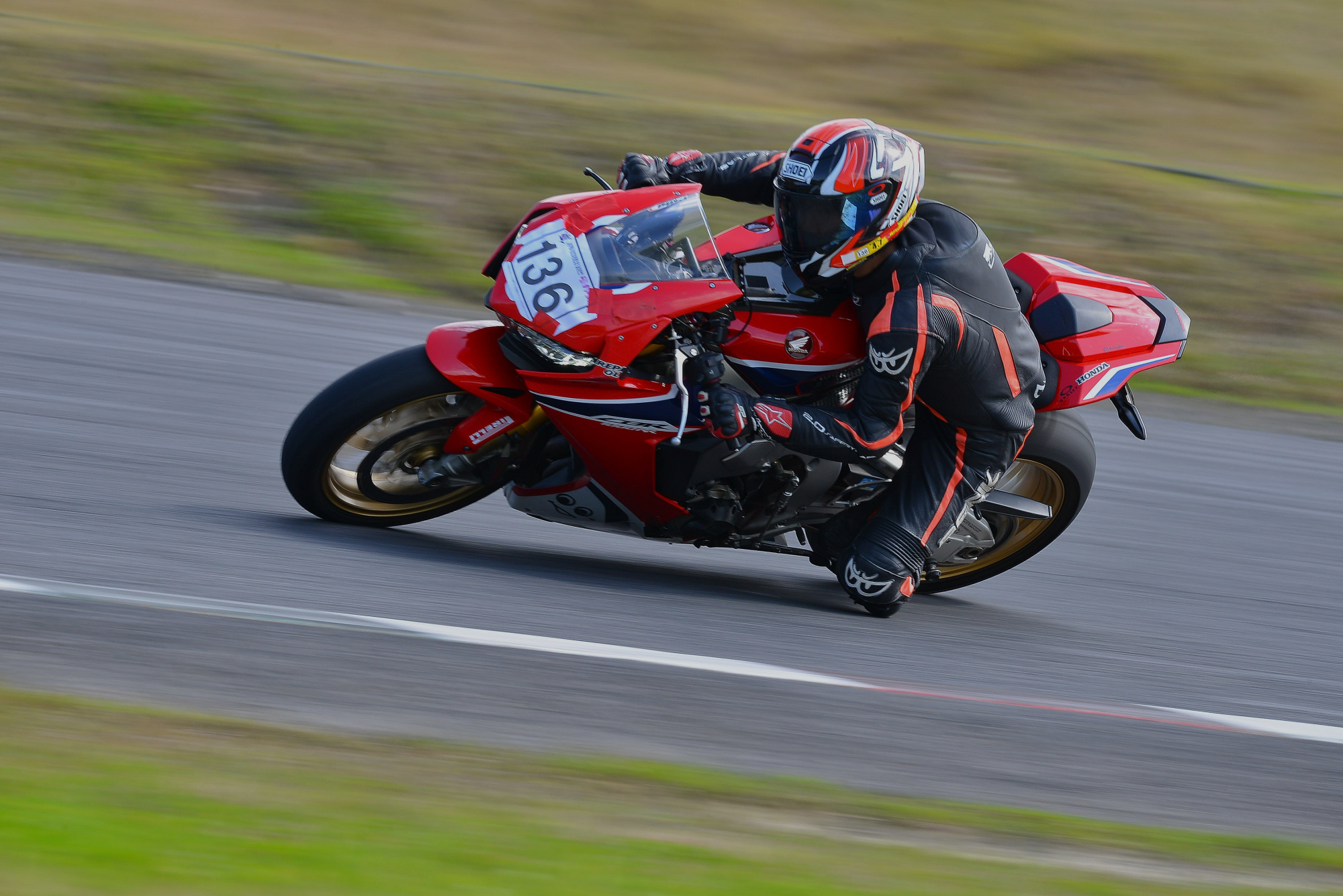 D8J_0248.JPG