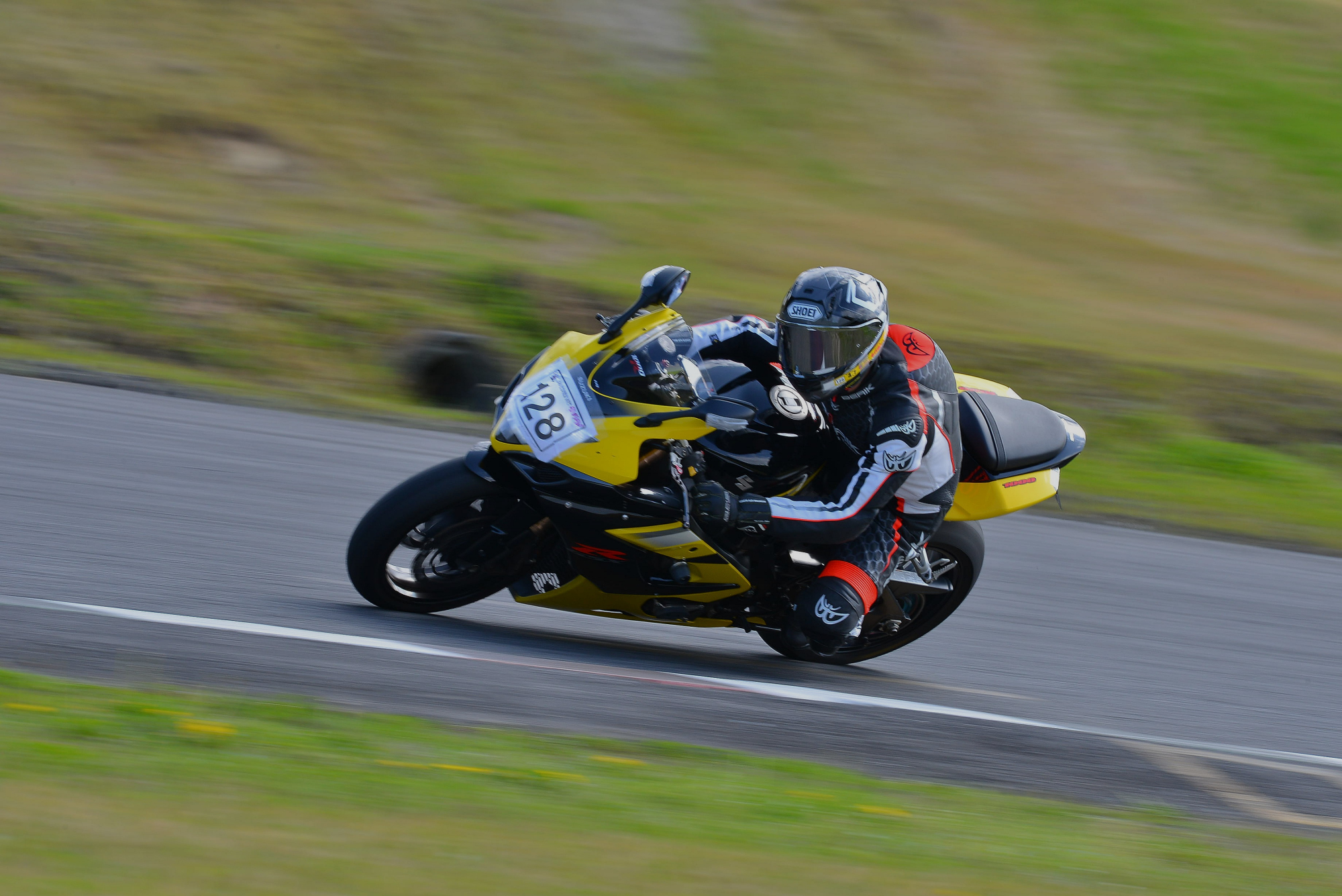 D8J_0249.JPG