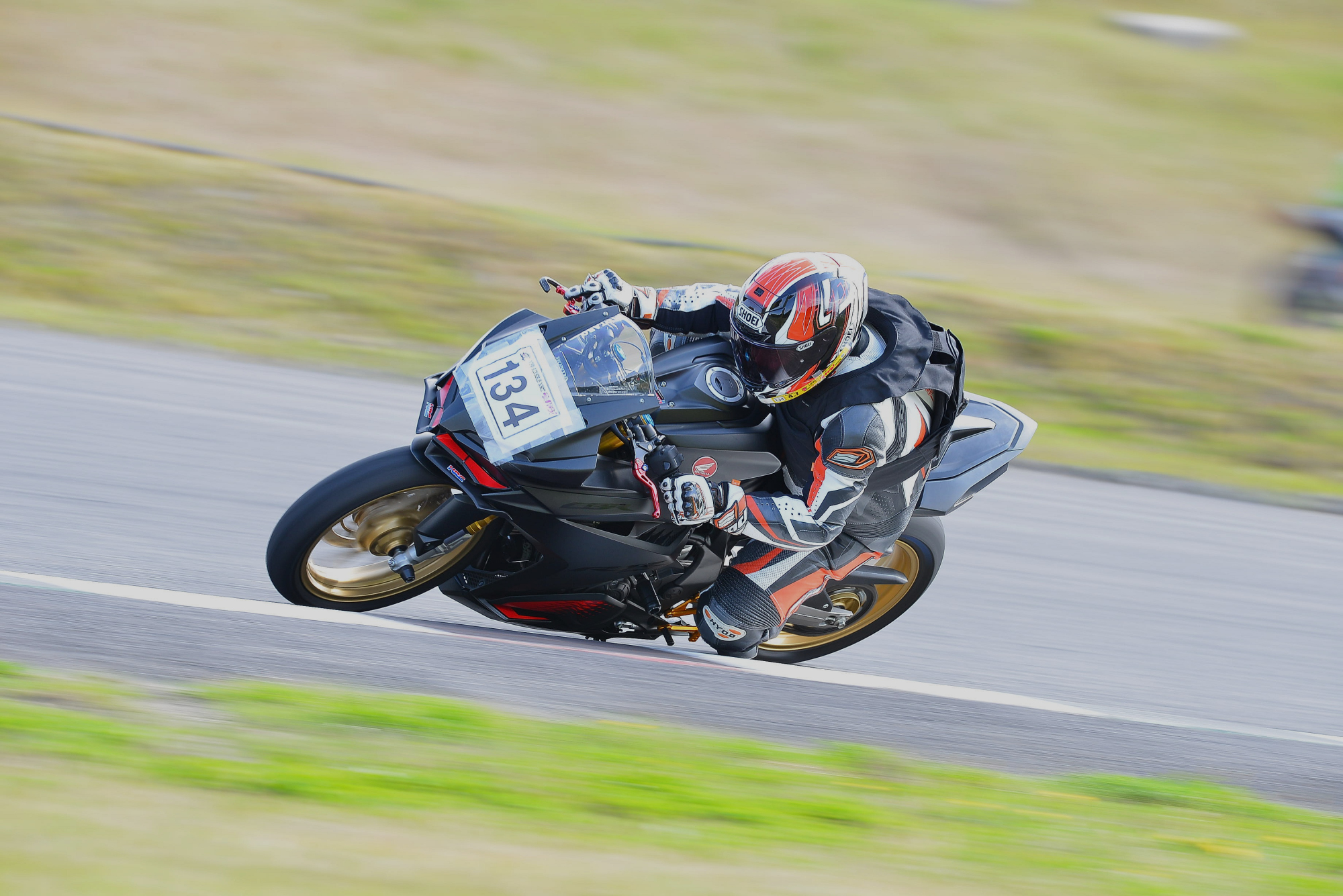 D8J_0259.JPG